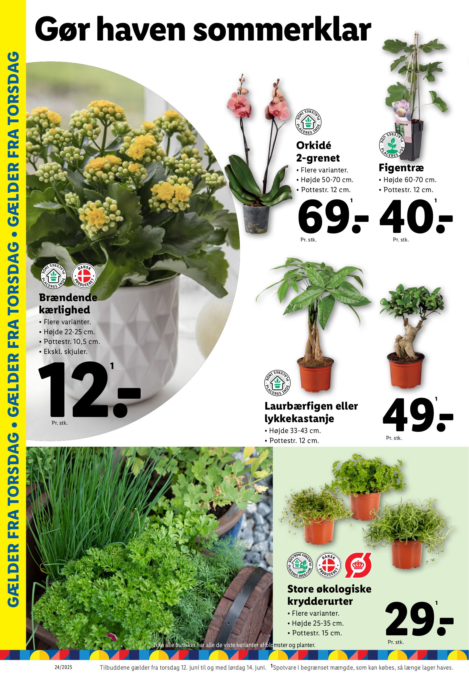 lidl - Lidl tilbudsavis gyldig fra 10.06. til 14.06. - page: 31 lidl - Lidl tilbudsavis gyldig fra 10.06. til 14.06. - page: 31