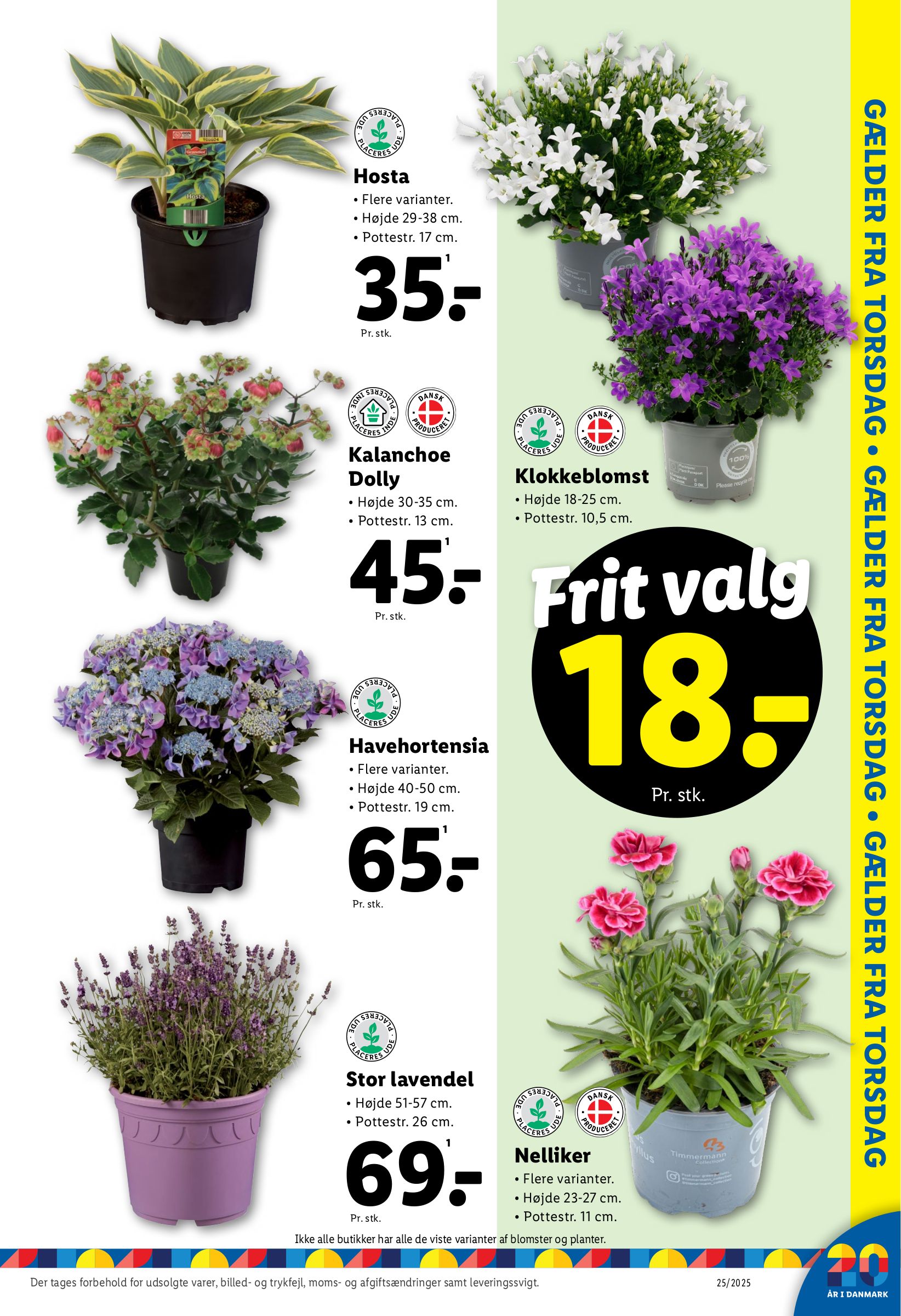 lidl - Lidl tilbudsavis gyldig fra 15.06. til 21.06. - page: 37