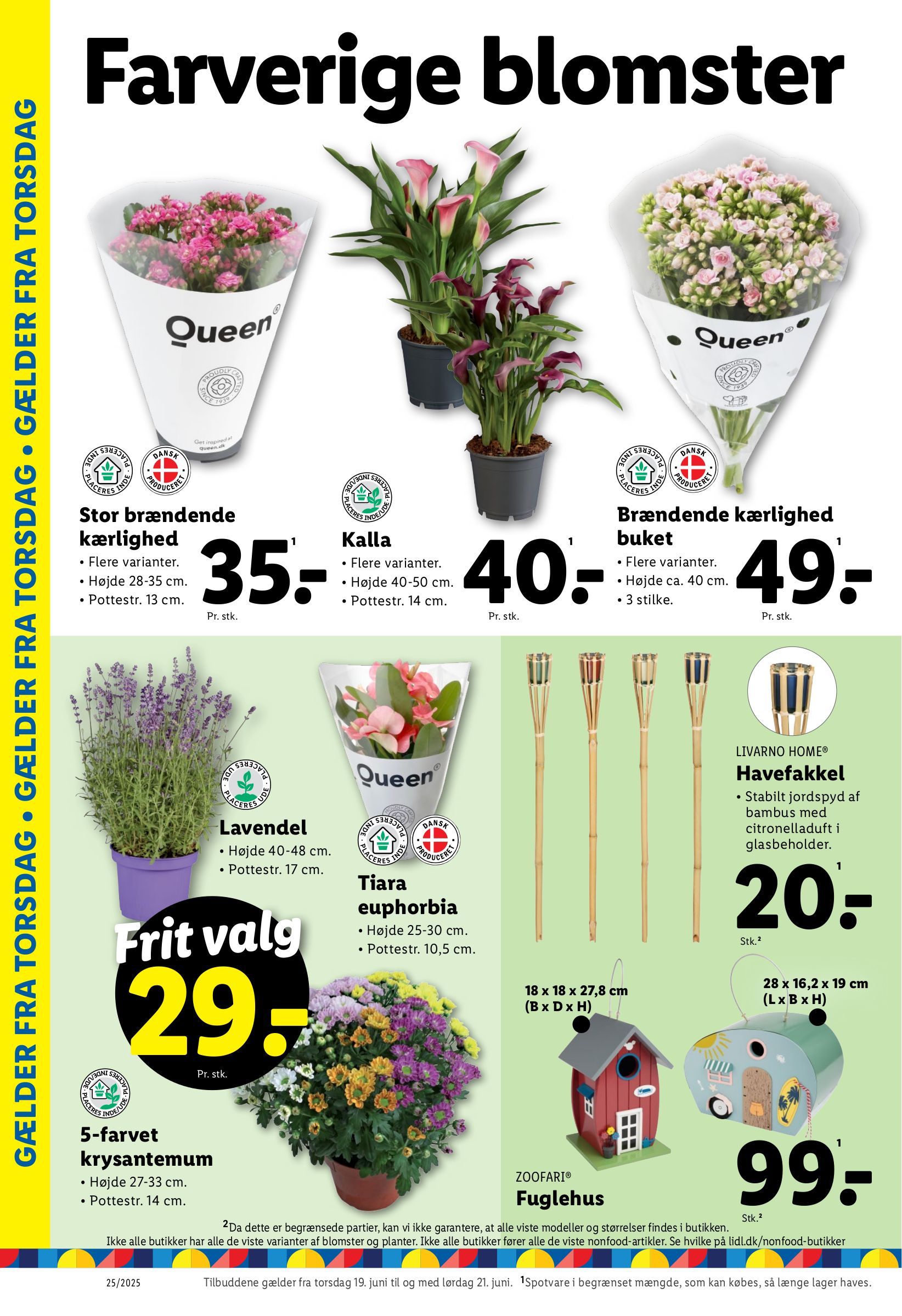 lidl - Lidl tilbudsavis gyldig fra 15.06. til 21.06. - page: 36