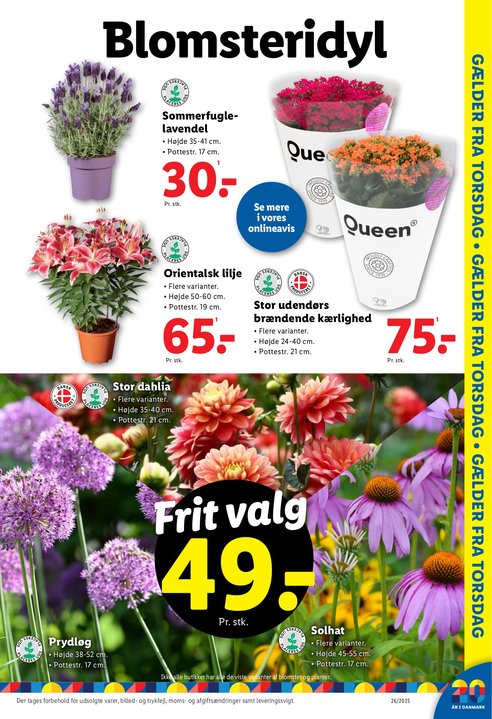 lidl - Lidl tilbudsavis gyldig fra 22.06. til 28.06. - page: 42 lidl - Lidl tilbudsavis gyldig fra 22.06. til 28.06. - page: 42