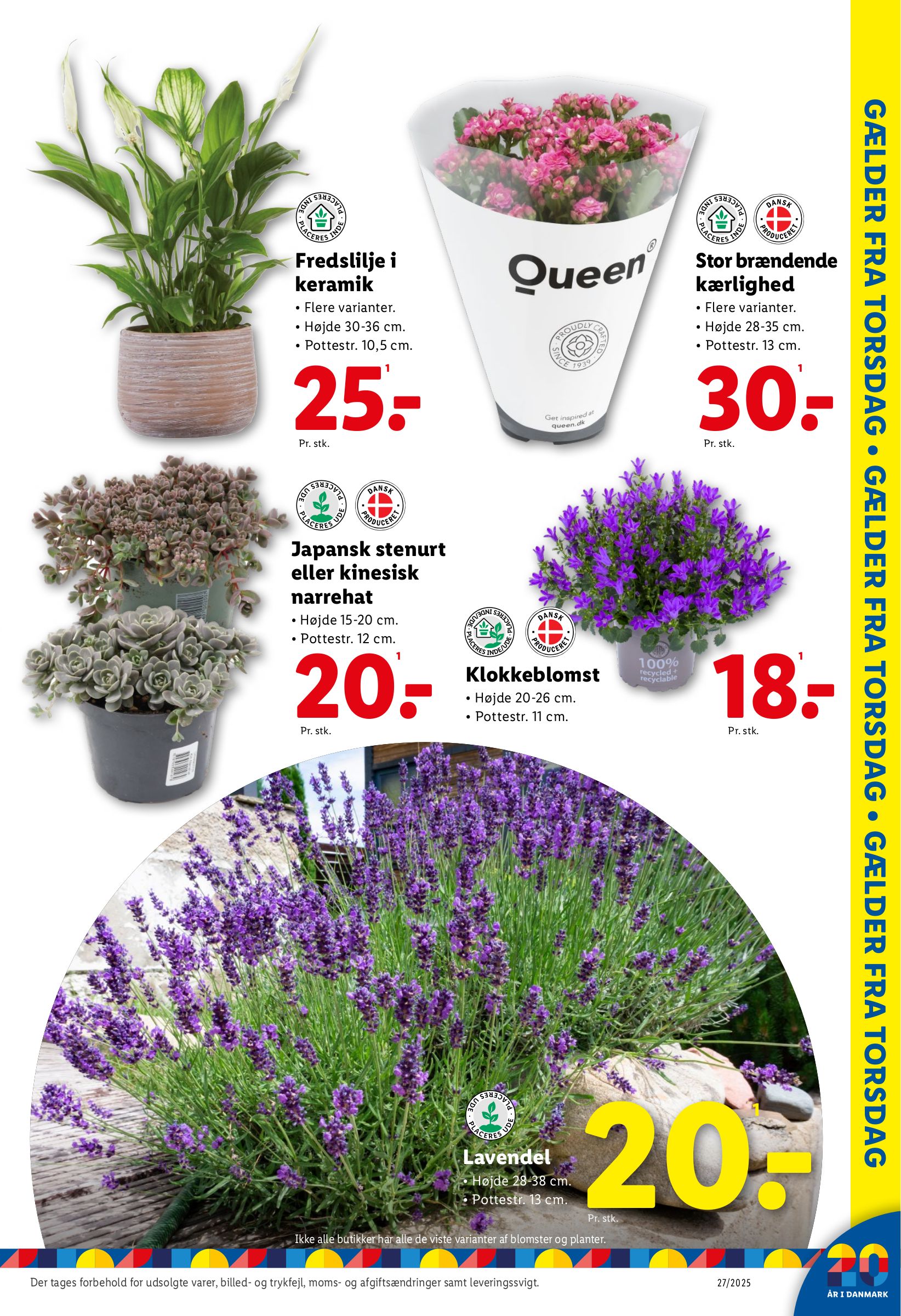 lidl - Lidl tilbudsavis gyldig fra 03.07. til 05.07. - page: 13 lidl - Lidl tilbudsavis gyldig fra 03.07. til 05.07. - page: 13