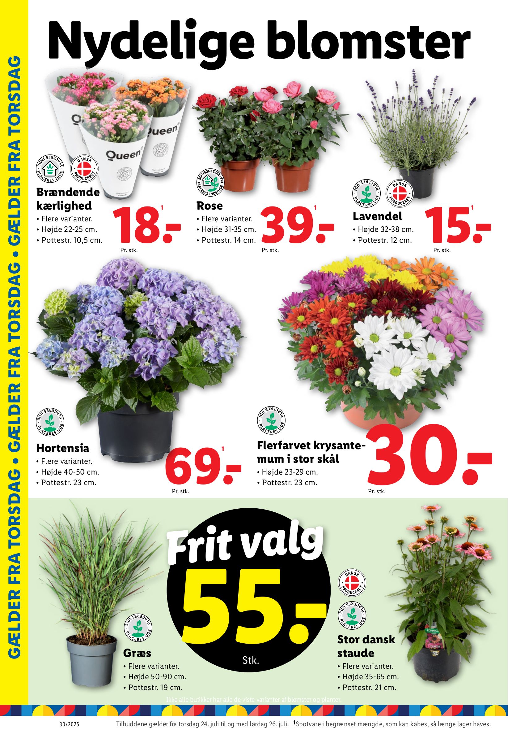 lidl - Lidl tilbudsavis gyldig fra 24.07. til 26.07. - page: 14 lidl - Lidl tilbudsavis gyldig fra 24.07. til 26.07. - page: 14