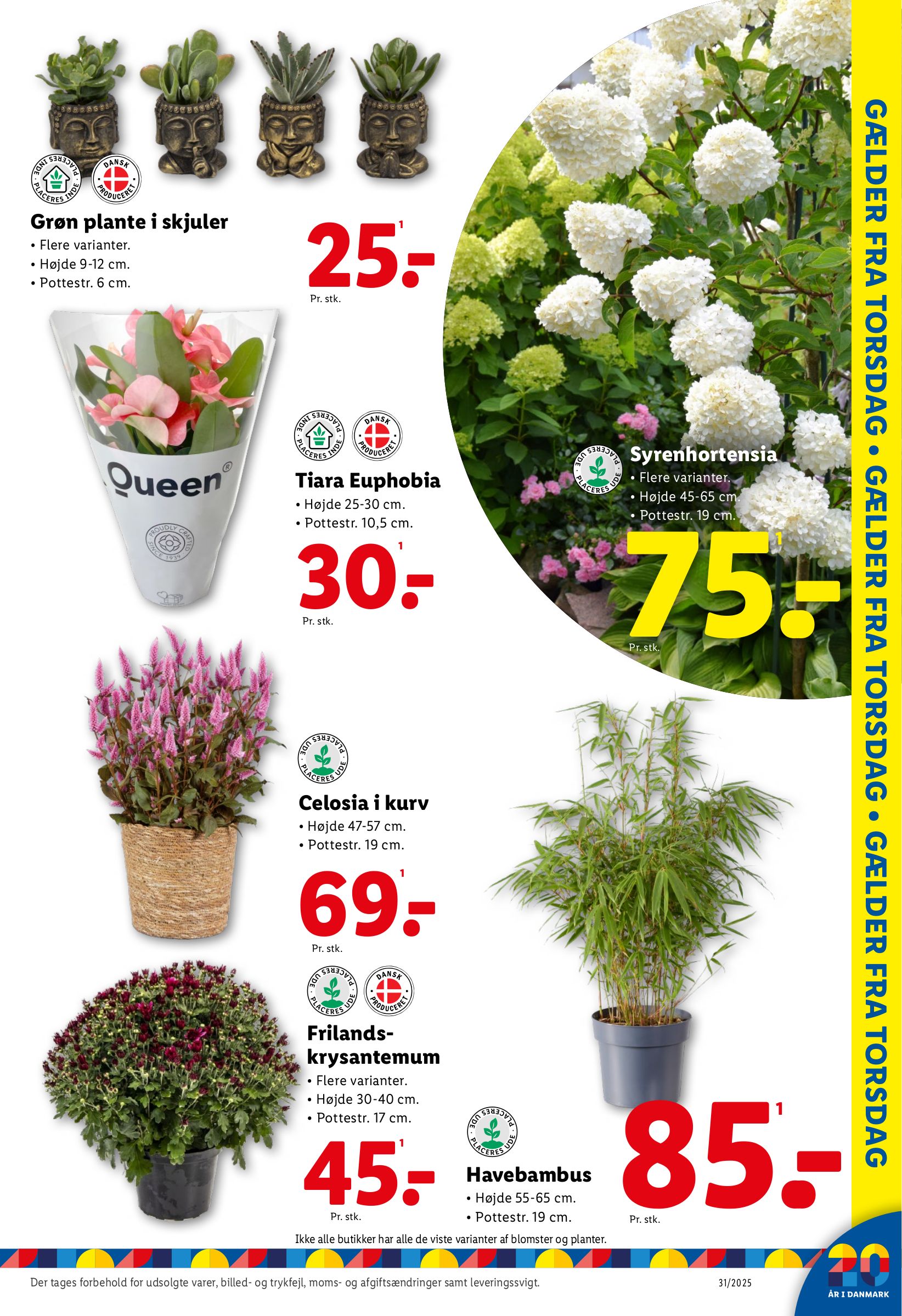 lidl - Lidl tilbudsavis gyldig fra 27.07. til 02.08. - page: 36