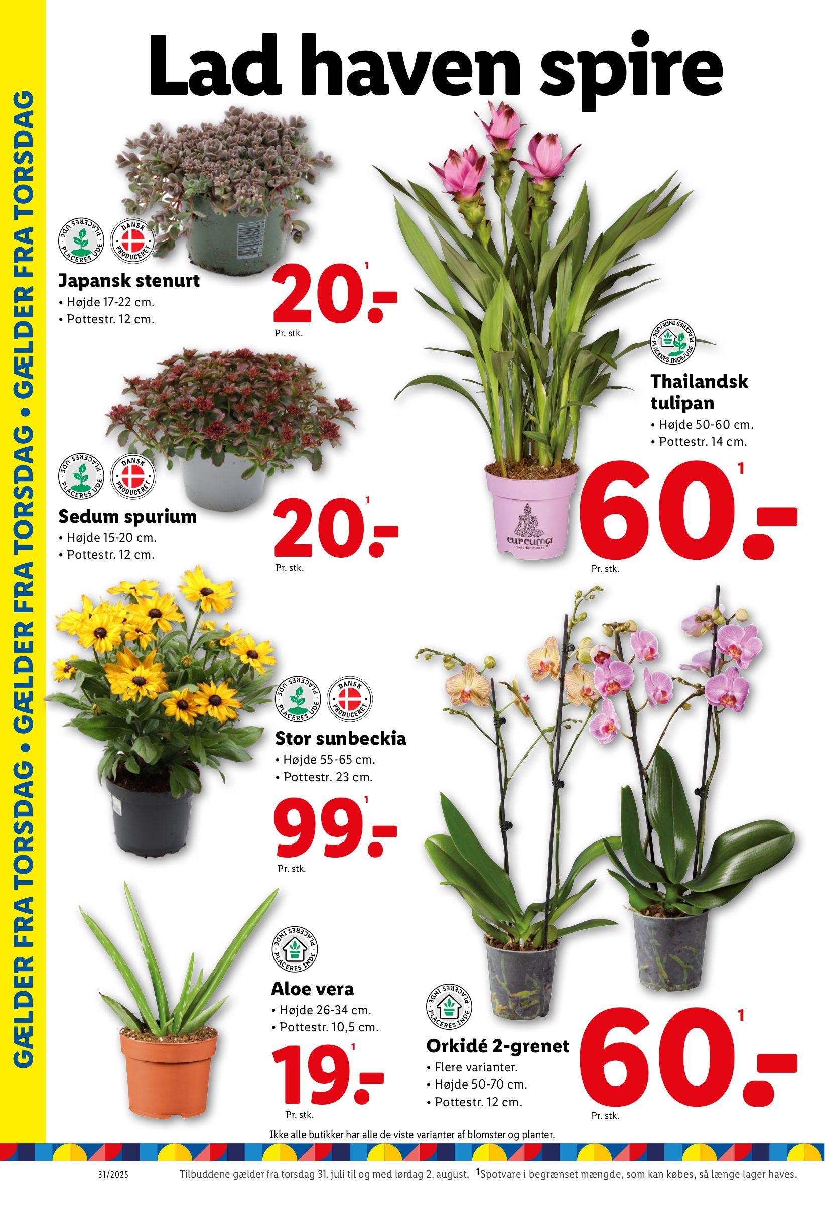 lidl - Lidl tilbudsavis gyldig fra 27.07. til 02.08. - page: 35
