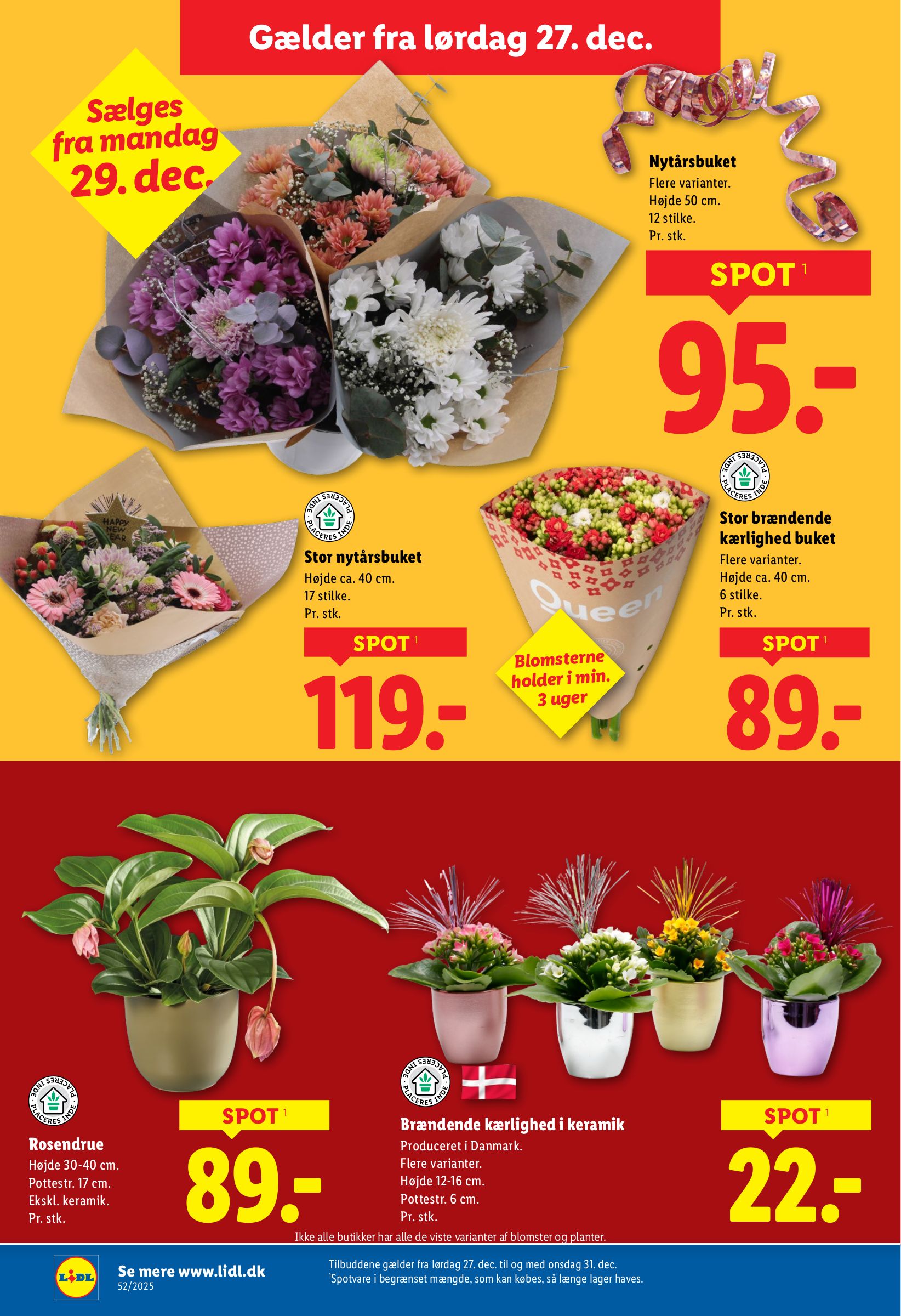 lidl - Lidl tilbudsavis gyldig fra 27.12. til 31.12. - page: 36