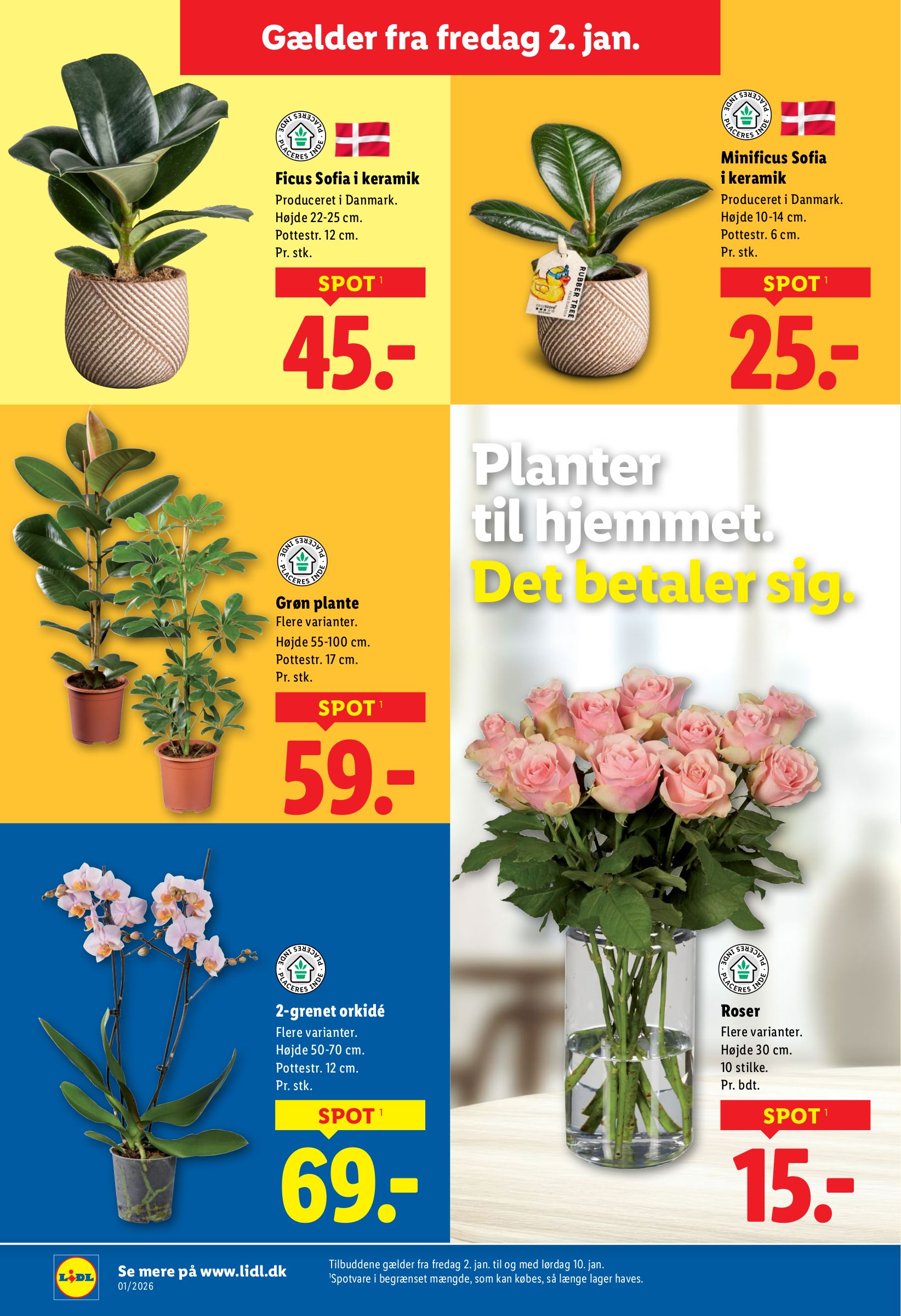 lidl - Lidl tilbudsavis gyldig fra 02.01. til 10.01. - page: 37