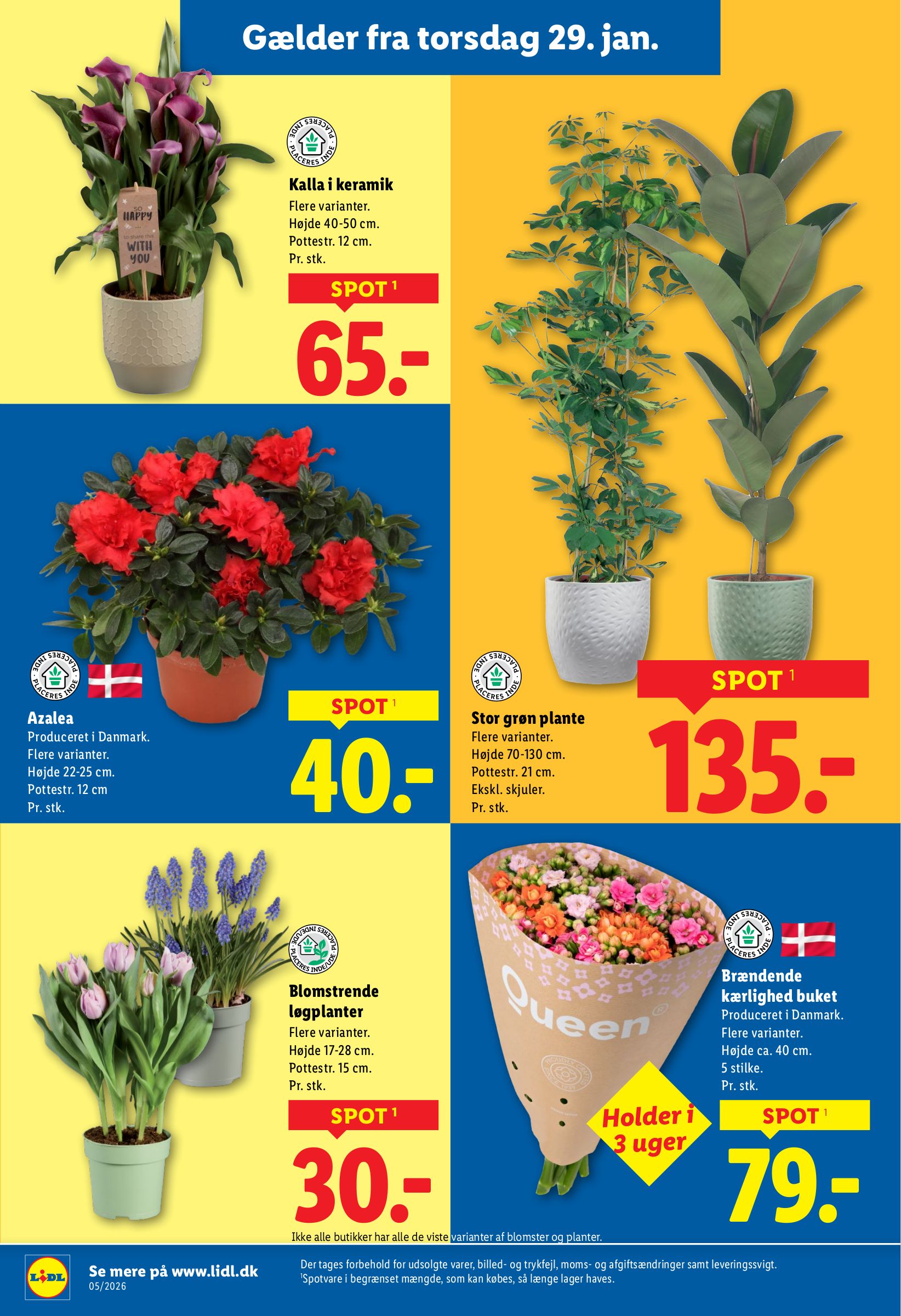 lidl - Lidl - Weekendtilbud tilbudsavis gyldig fra 29.01. til 31.01. - page: 7