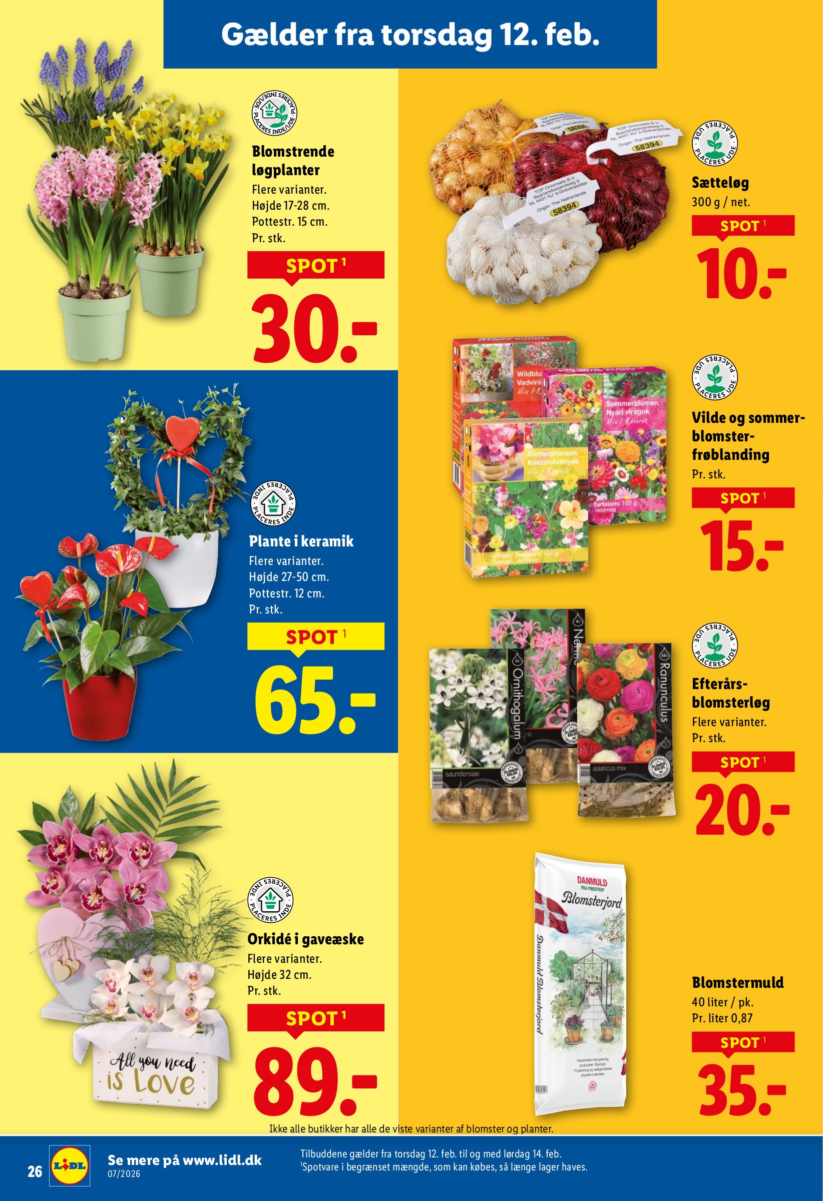 lidl - Lidl - Ugens NonFood Must Haves tilbudsavis gyldig fra 08.02.2026 til 14.02.2026 - page: 10