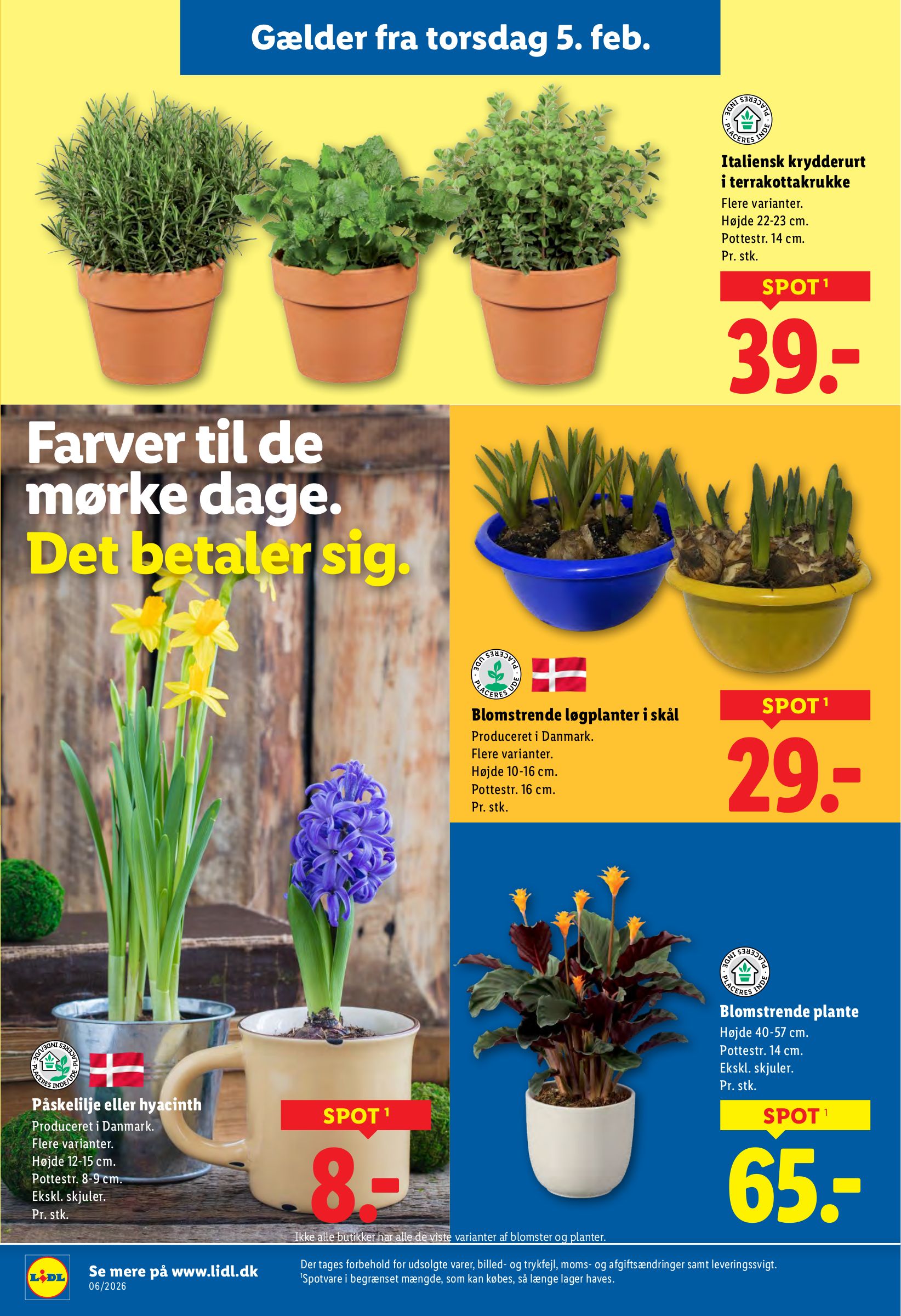 lidl - Lidl tilbudsavis gyldig fra 05.02.2026 til 07.02.2026 - page: 6