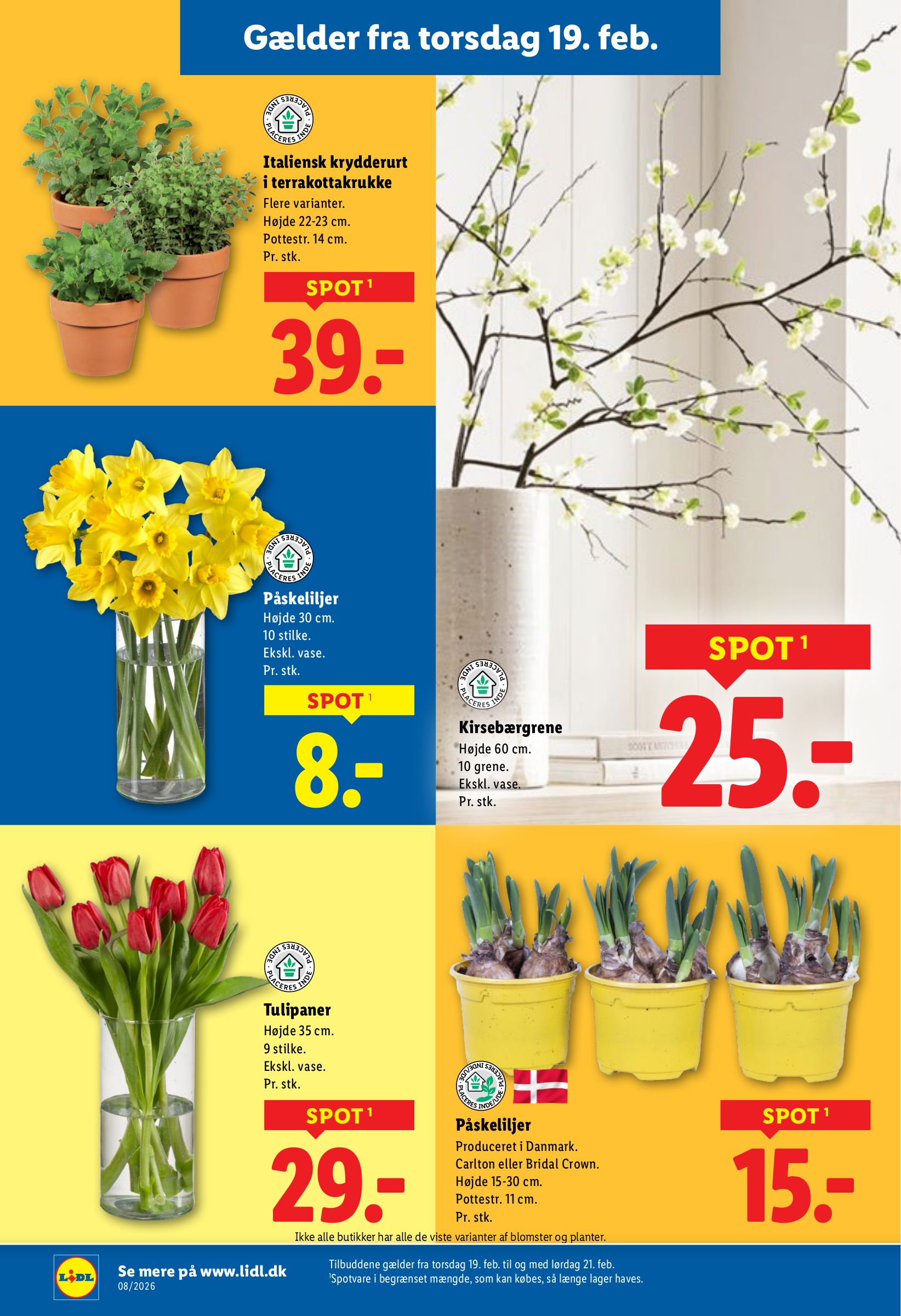 lidl - Lidl tilbudsavis gyldig fra 15.02.2026 til 21.02.2026 - page: 28
