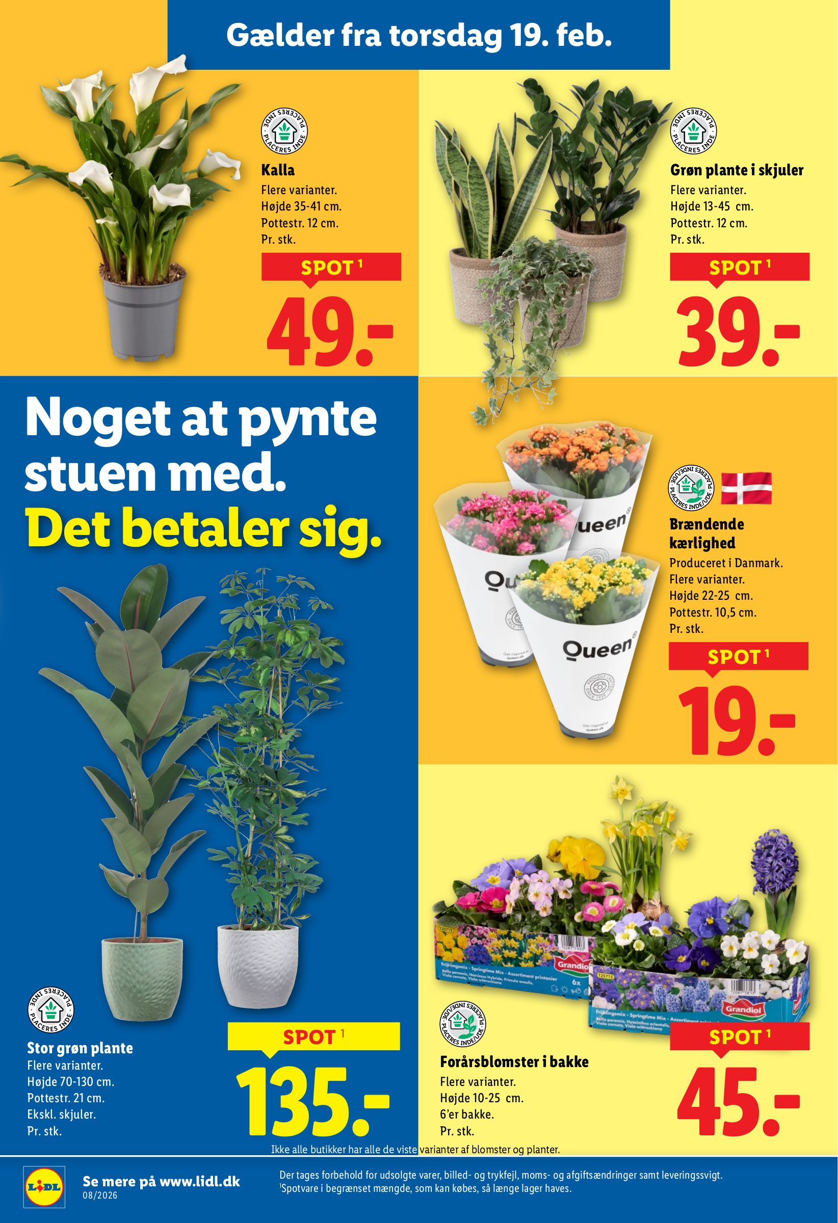 lidl - Lidl - Weekendtilbud tilbudsavis gyldig fra 19.02.2026 til 21.02.2026 - page: 13