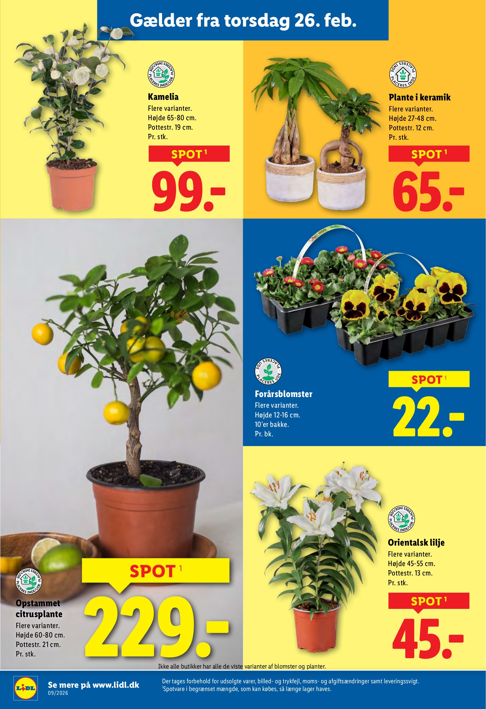 lidl - Lidl - Weekendtilbud tilbudsavis gyldig fra 26.02.2026 til 28.02.2026 - page: 9