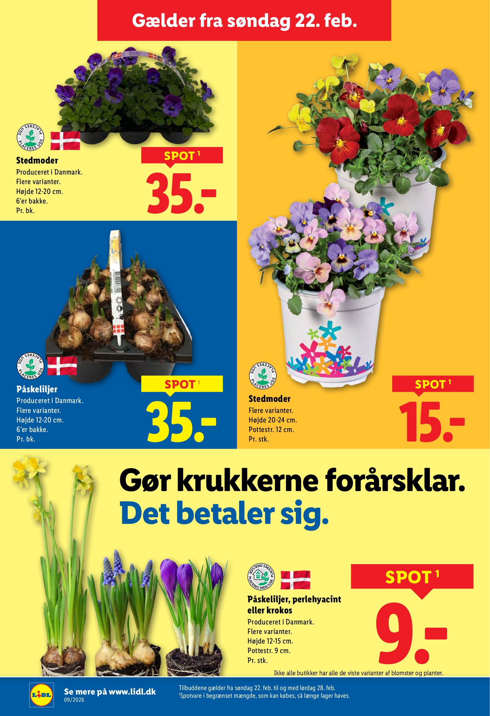 lidl - Lidl - Weekendtilbud tilbudsavis gyldig fra 26.02.2026 til 28.02.2026 - page: 38