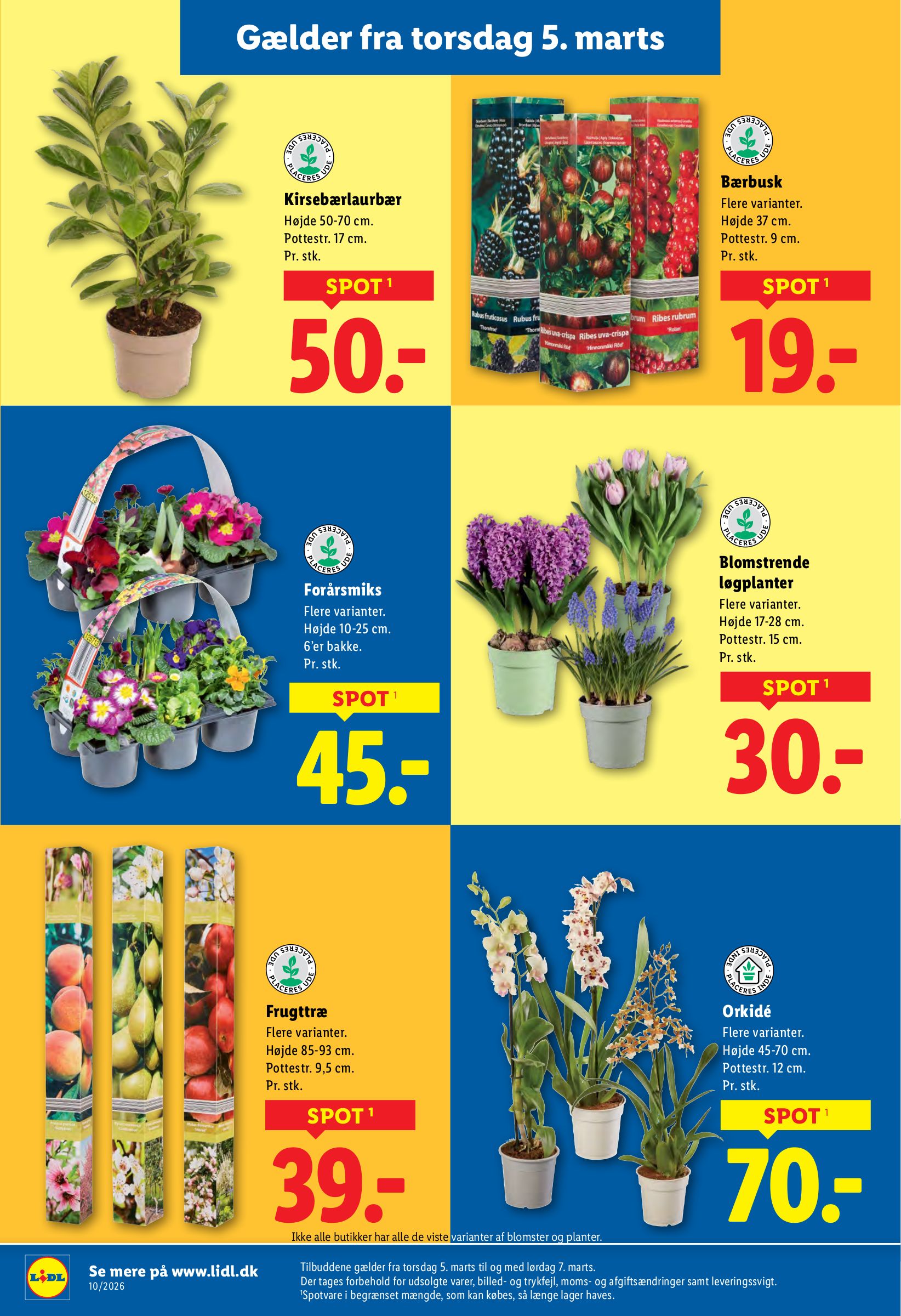 lidl - Lidl tilbudsavis gyldig fra 01.03.2026 til 07.03.2026 - page: 33