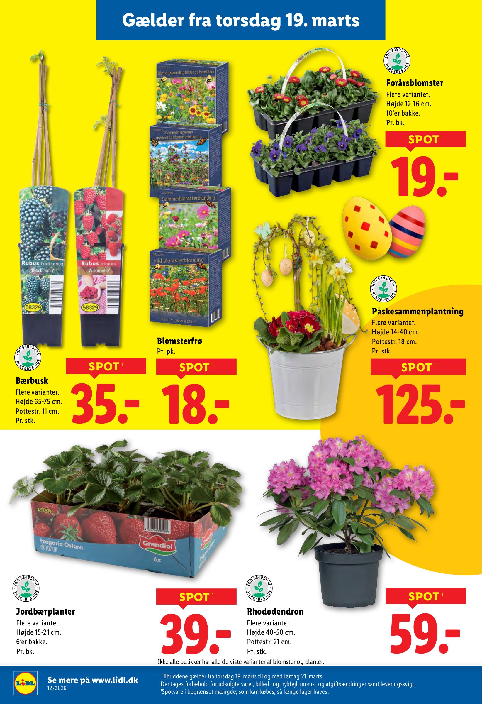 lidl - Lidl tilbudsavis gyldig fra 15.03.2026 til 21.03.2026 - page: 32