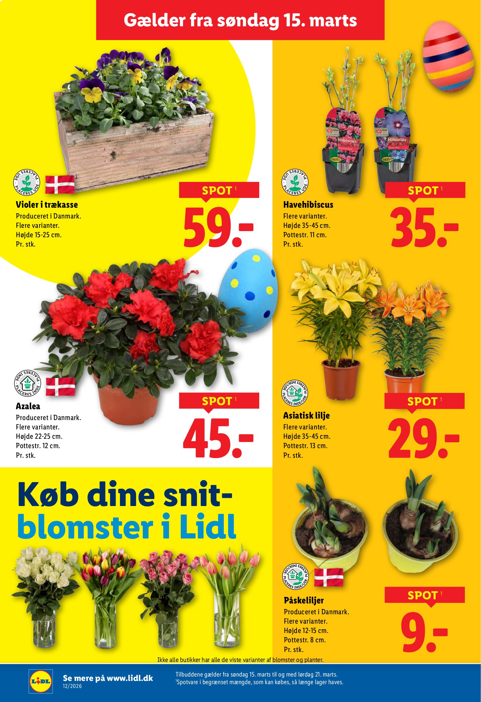 lidl - Lidl tilbudsavis gyldig fra 19.03.2026 til 21.03.2026 - page: 24
