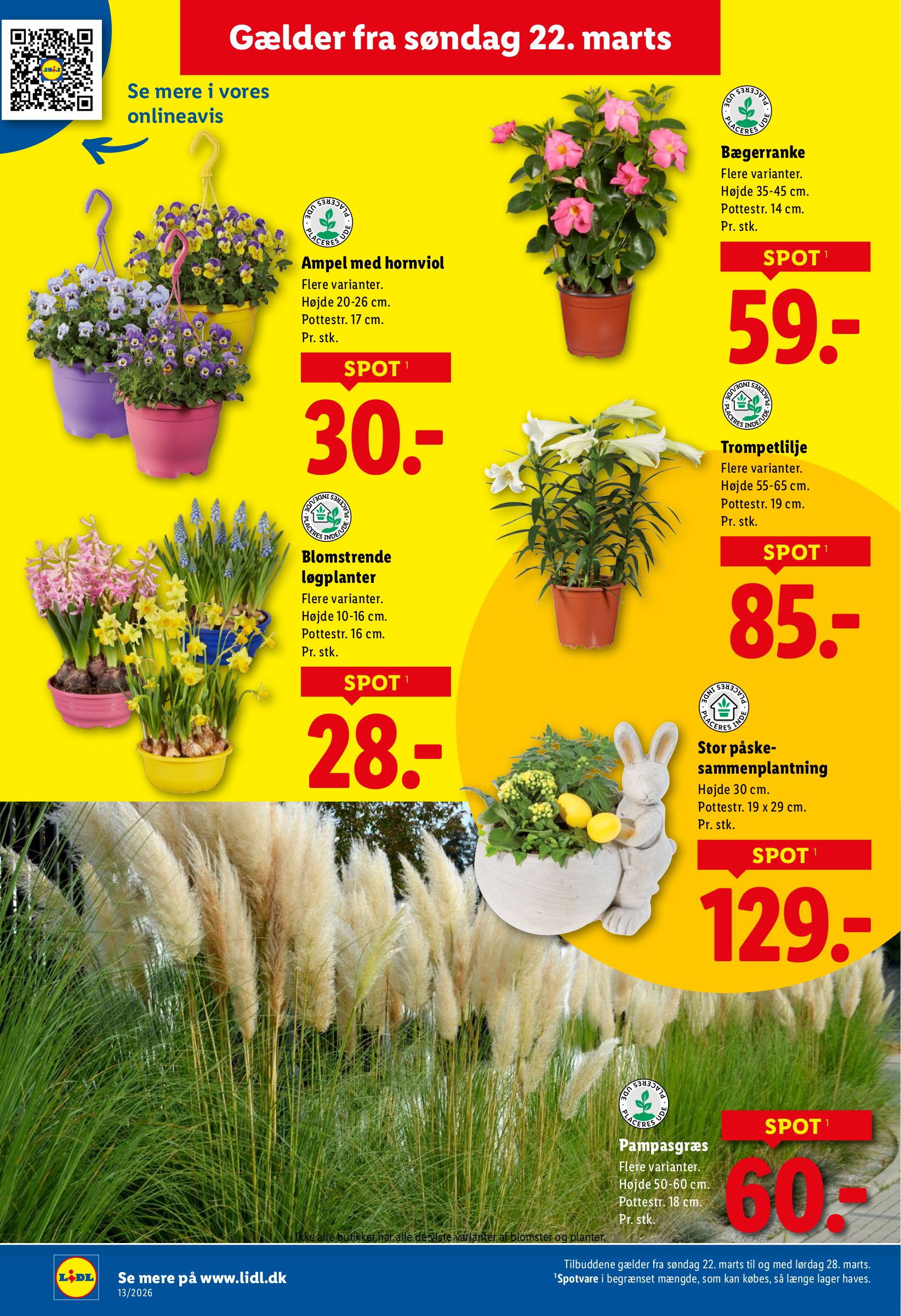 lidl - Lidl - Weekendtilbud tilbudsavis gyldig fra 26.03.2026 til 28.03.2026 - page: 32