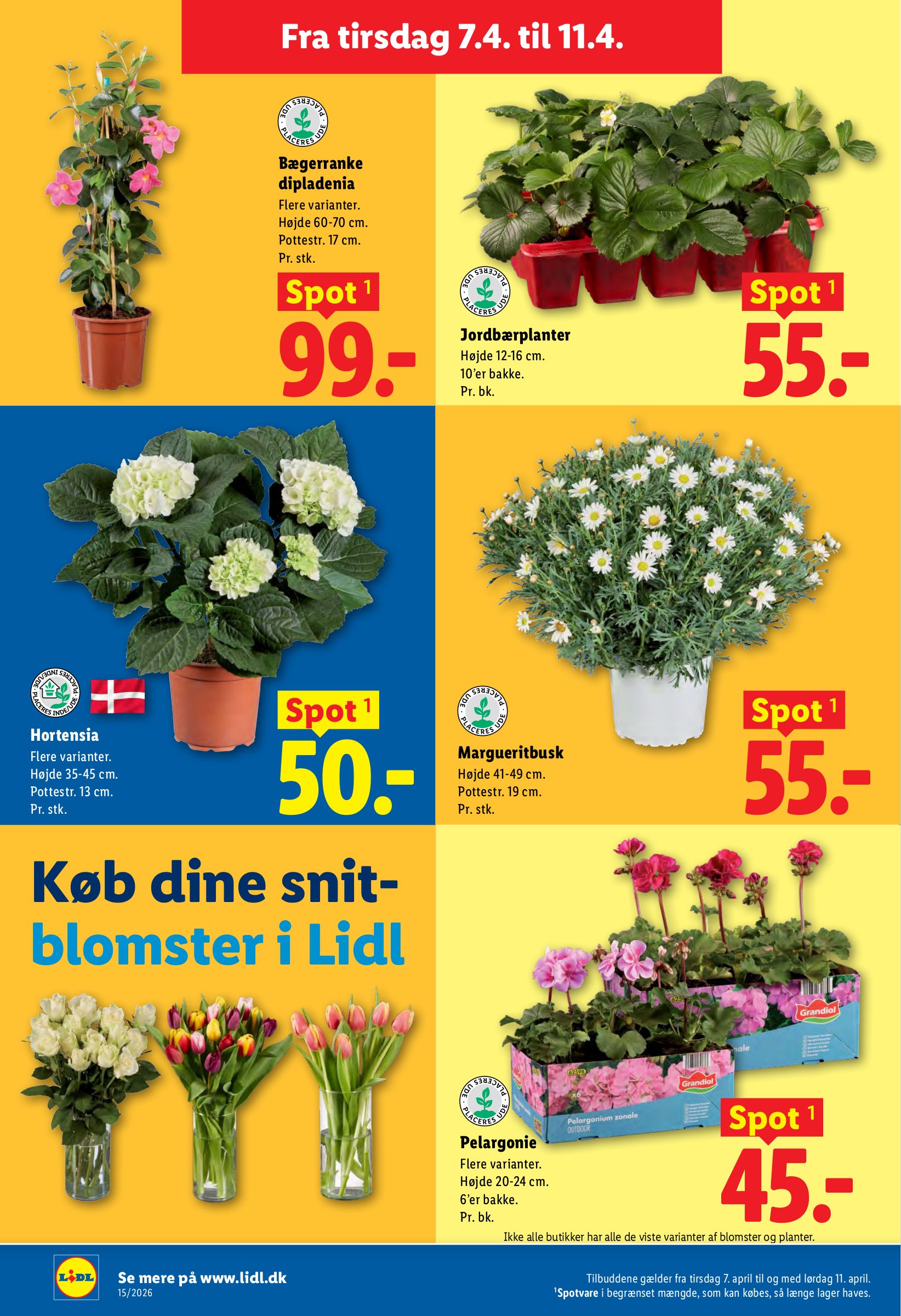 lidl - Lidl tilbudsavis gyldig fra 07.04.2026 til 11.04.2026 - page: 30