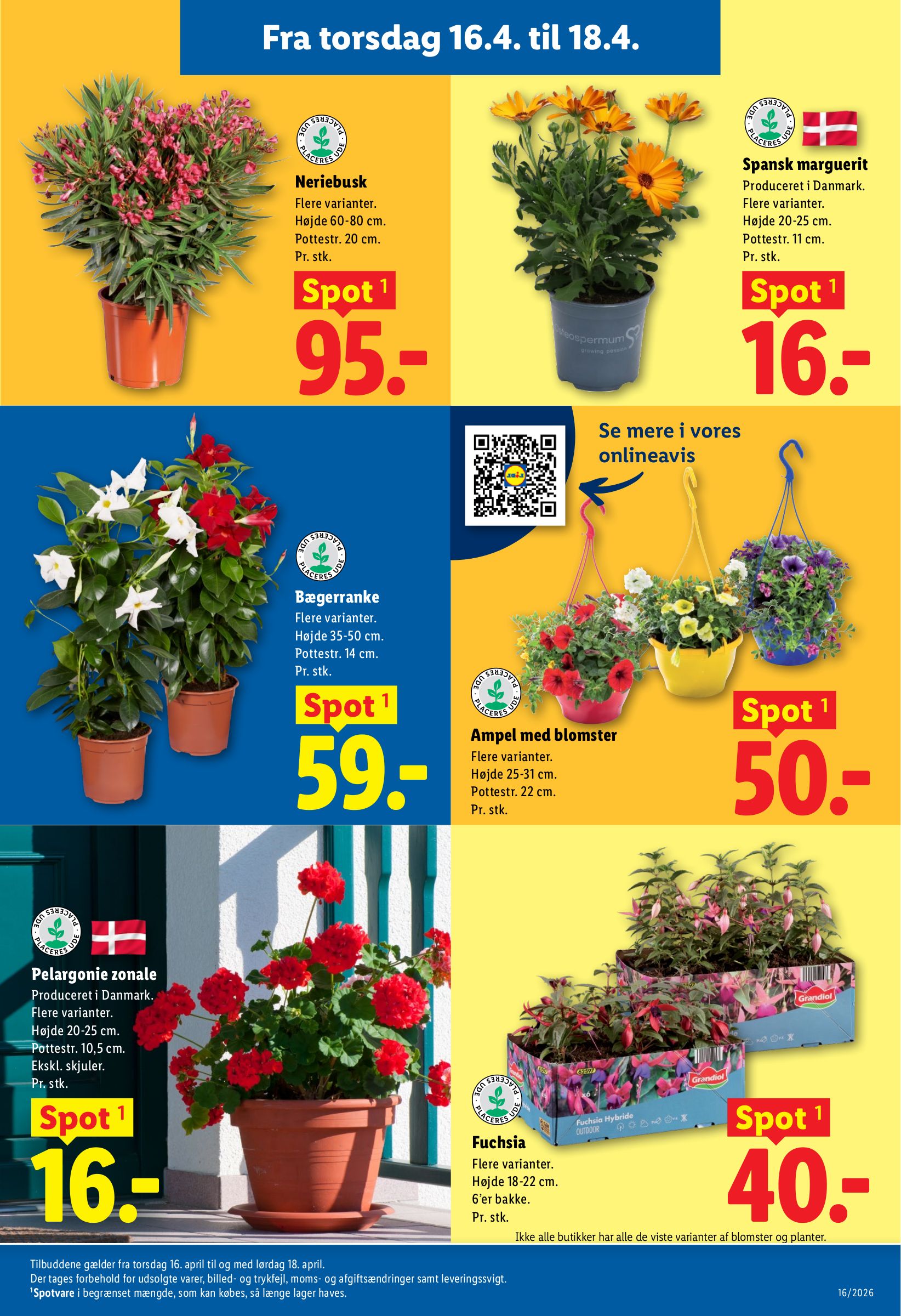 lidl - Fremtidig Lidl reklameblad gyldig fra torsdag 16.04.2026 til lørdag 18.04.2026 - page: 9