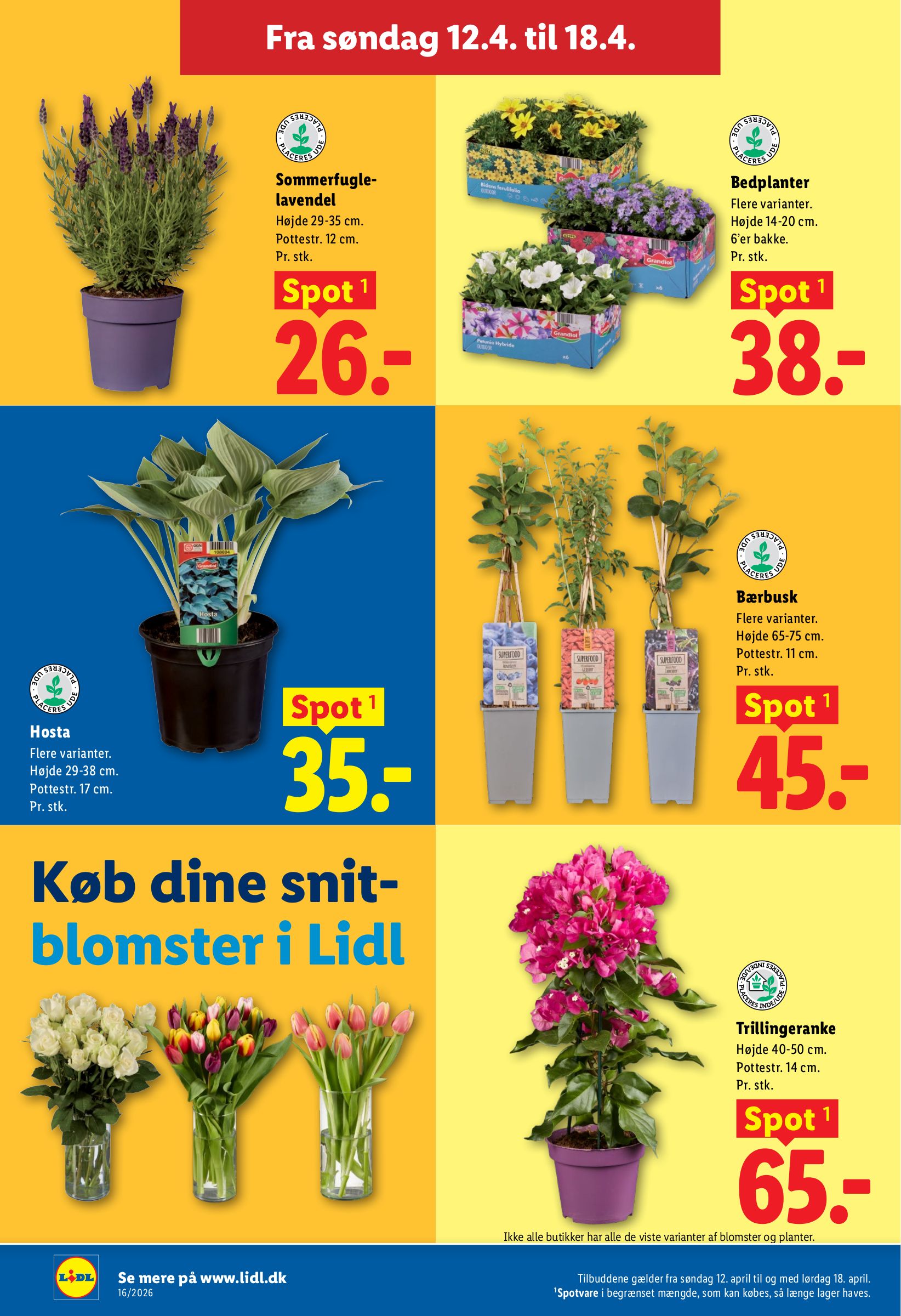 lidl - Fremtidig Lidl reklameblad gyldig fra torsdag 16.04.2026 til lørdag 18.04.2026 - page: 38