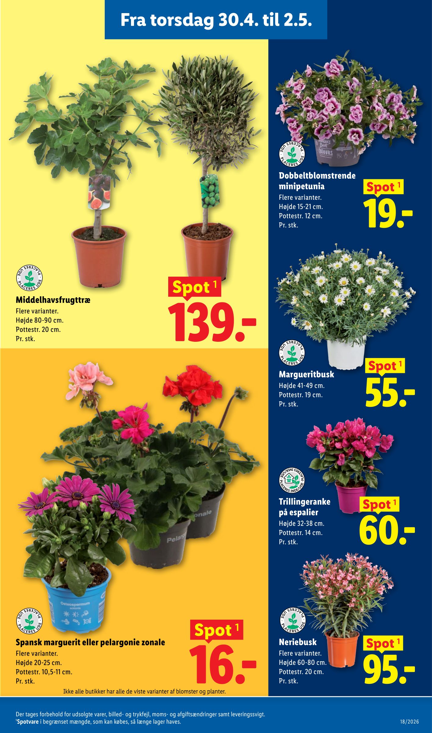 lidl - Aktuel Lidl katalog gyldig fra torsdag 30.04.2026 til lørdag 02.05.2026 - page: 9