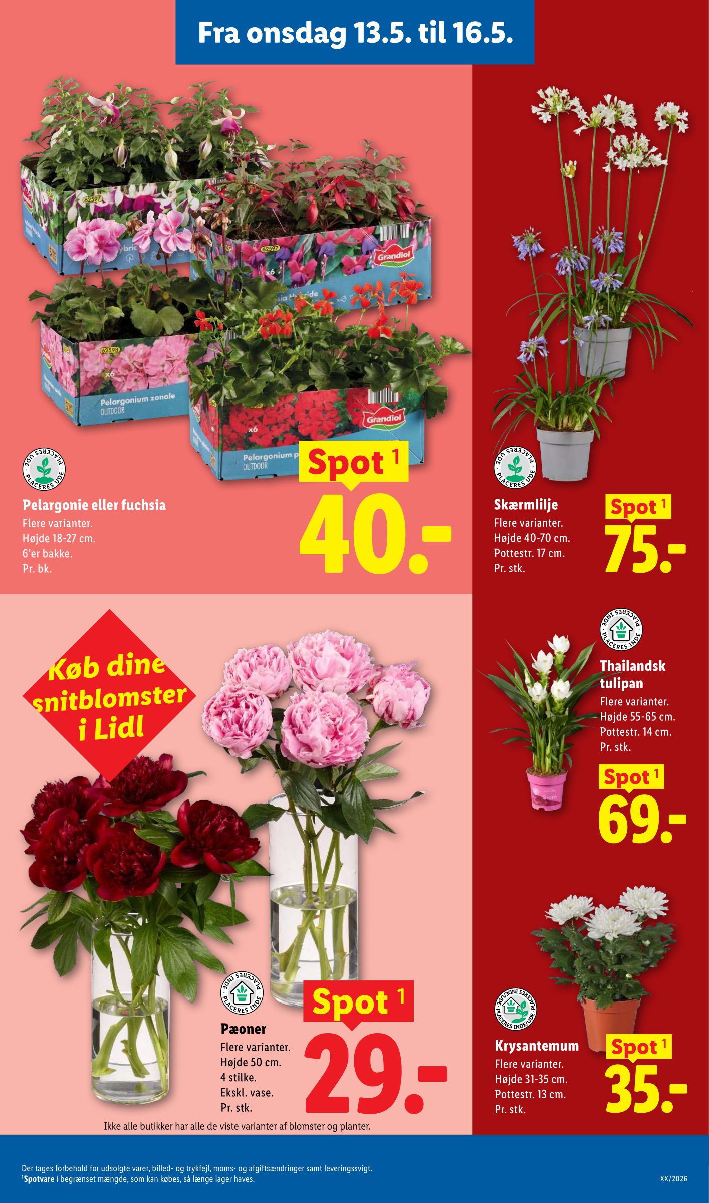 lidl - Lidl flyer til næste uge fra søndag 10.05.2026 til lørdag 16.05.2026 - page: 39