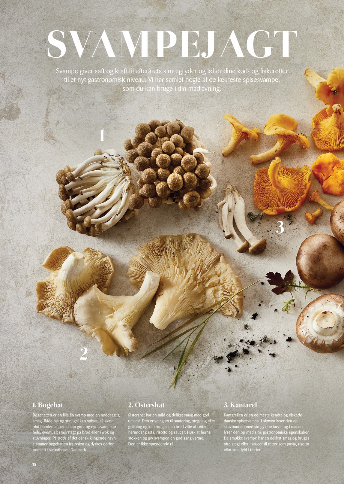 kopkande - Kop&Kande - Essens - Magisk Jul... tilbudsavis gyldig fra 01.11. til 31.12. - page: 18