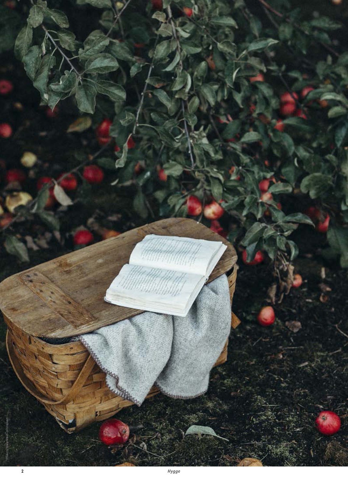 kopkande - Kop&Kande - Hygge tilbudsavis gyldig fra 01.06. til 31.12. - page: 2