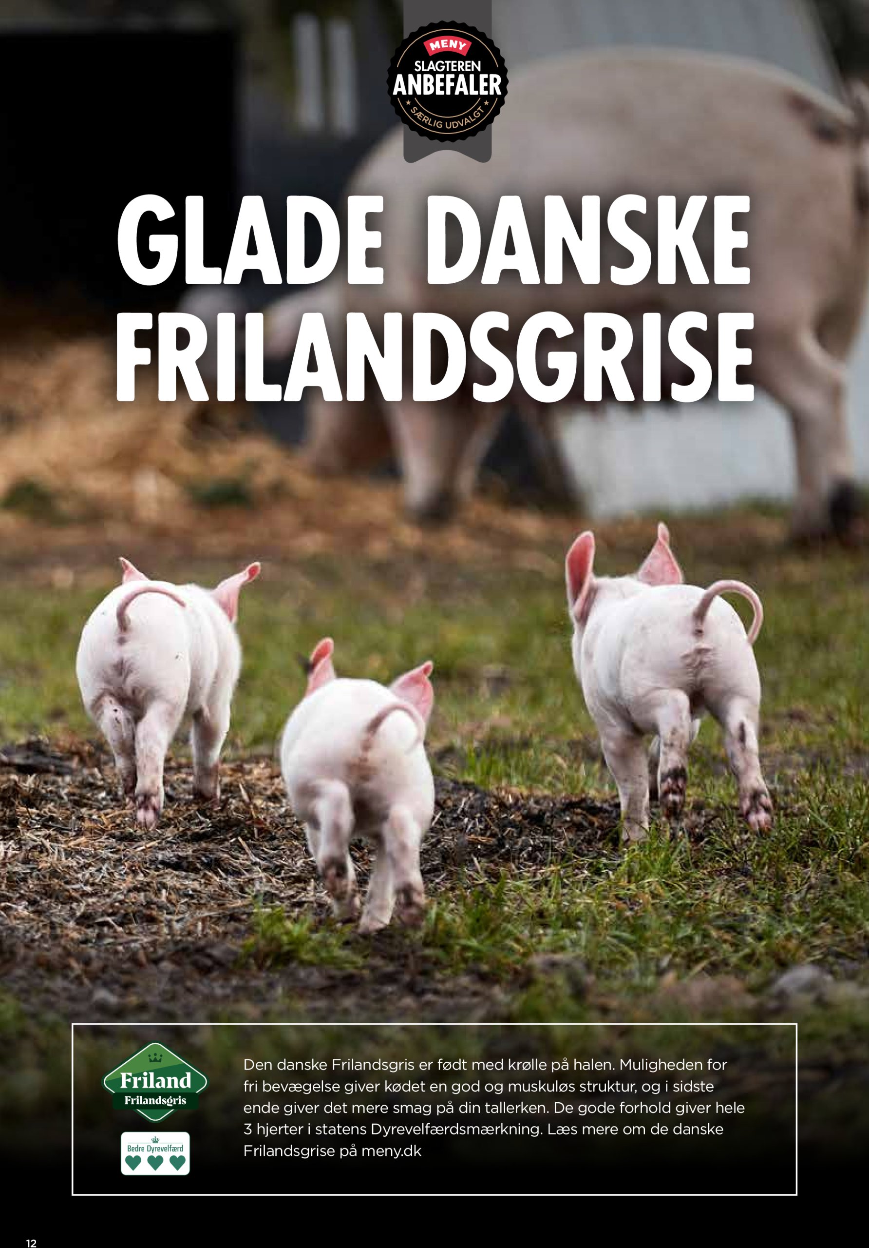 meny - Meny tilbudsavis gyldig fra 06.06. til 12.06. - page: 6 meny - Meny tilbudsavis gyldig fra 06.06. til 12.06. - page: 6