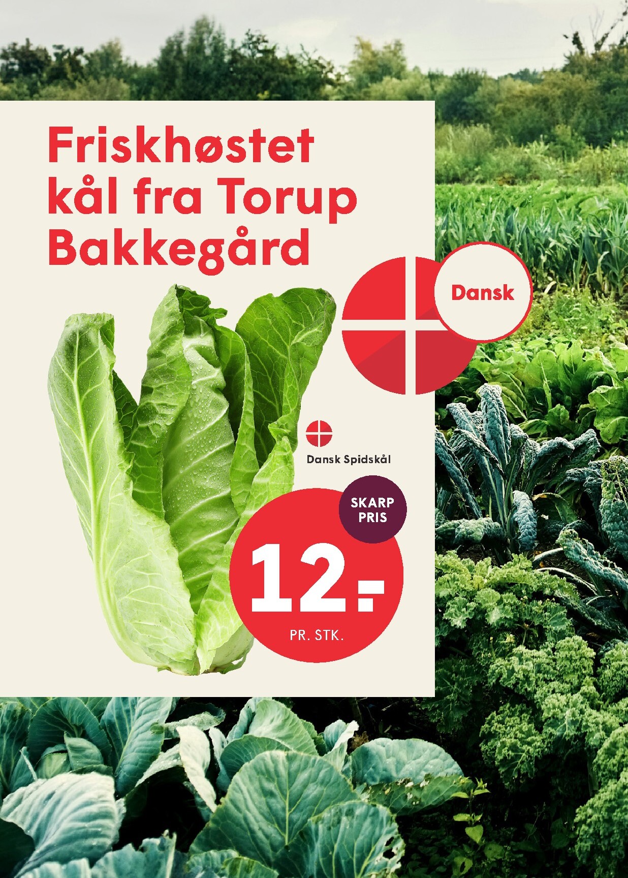 spar - Aktuel Spar tilbudsavis fra fredag, 07.08.2026 til torsdag, 13.08.2026 - page: 11