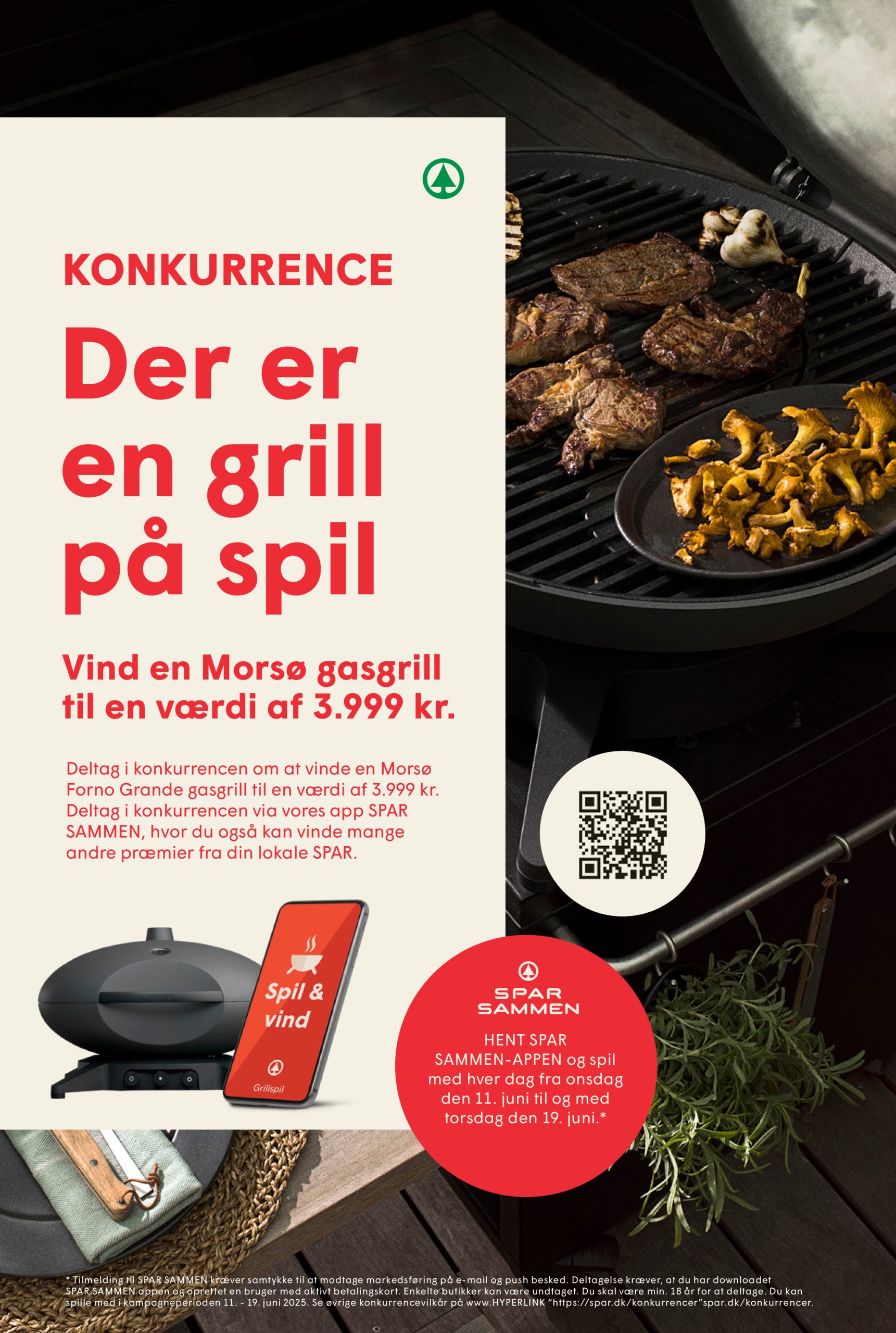 spar - Spar tilbudsavis gyldig fra 13.06. til 19.06. - page: 10