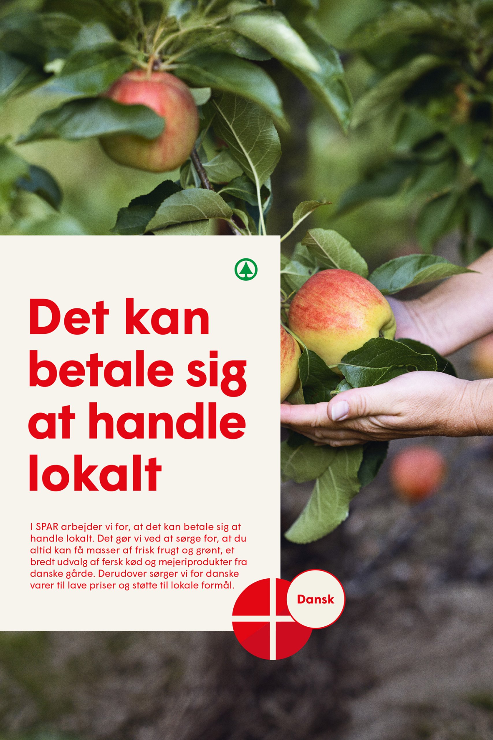 spar - Spar tilbudsavis gyldig fra 13.06. til 19.06. - page: 18