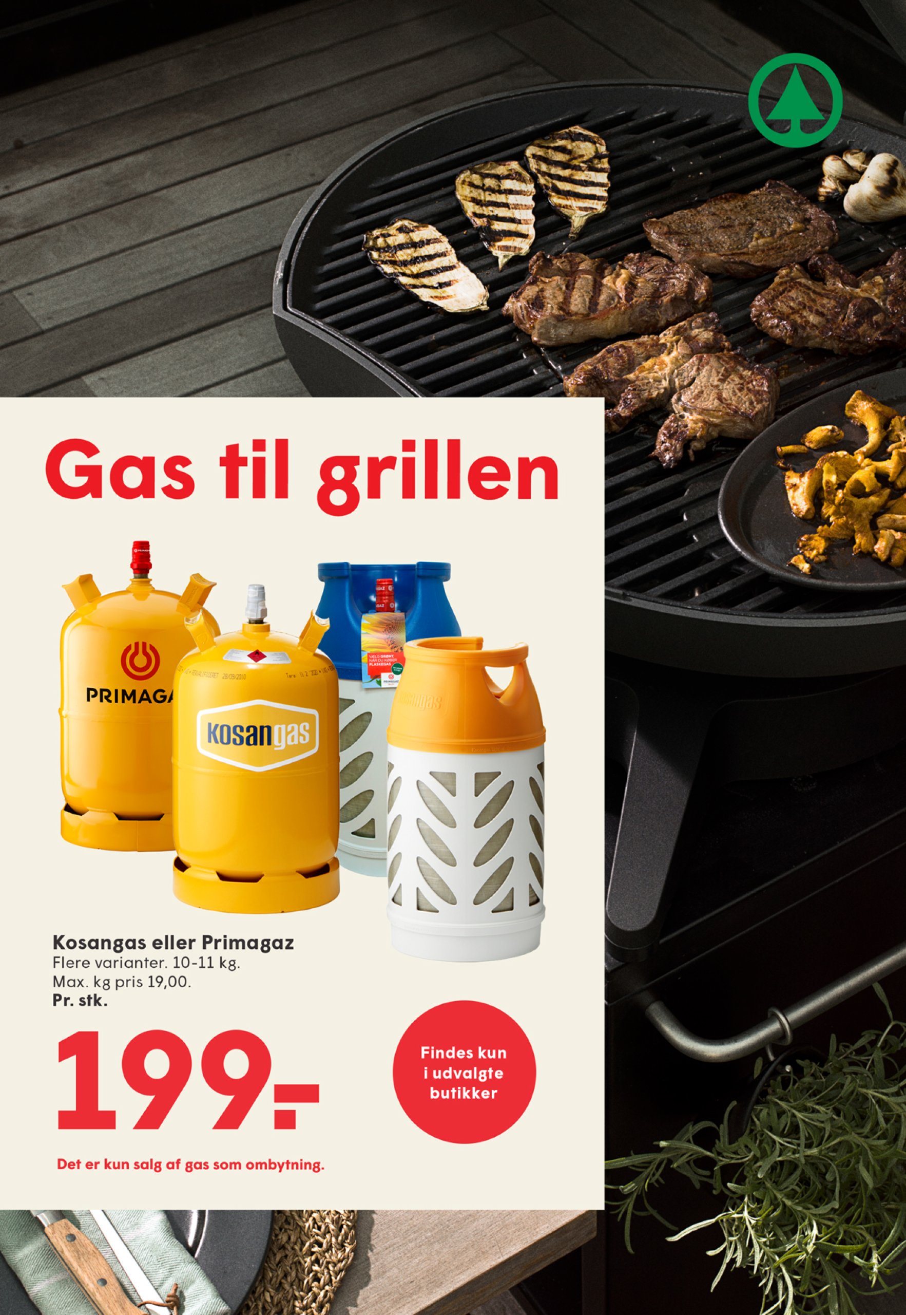 spar - Spar tilbudsavis gyldig fra 20.06. til 26.06. - page: 19