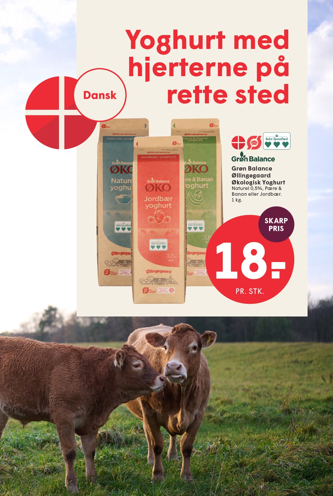 spar - Spar tilbudsavis gyldig fra 16.01. til 22.01. - page: 5