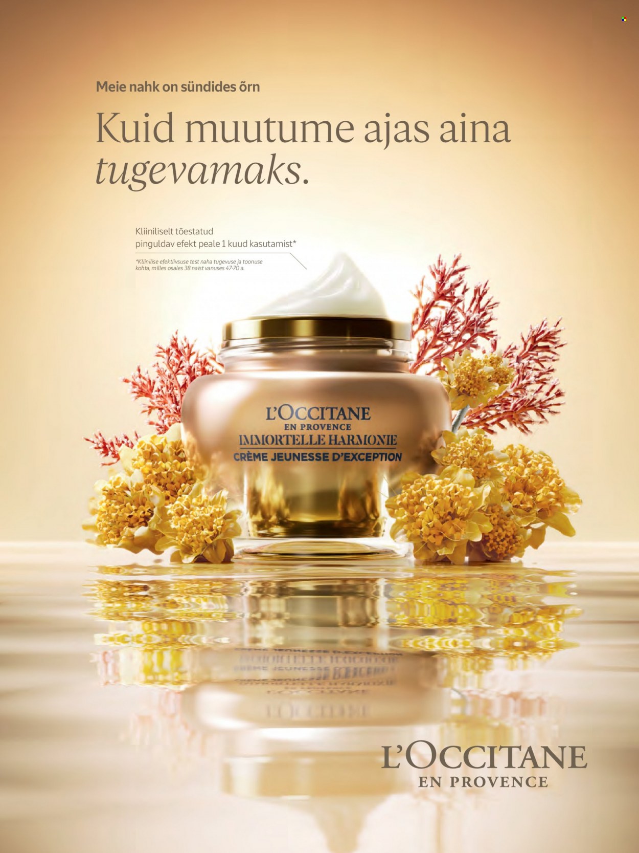 kaubamaja - Kaubamaja kliendileht - page: 31