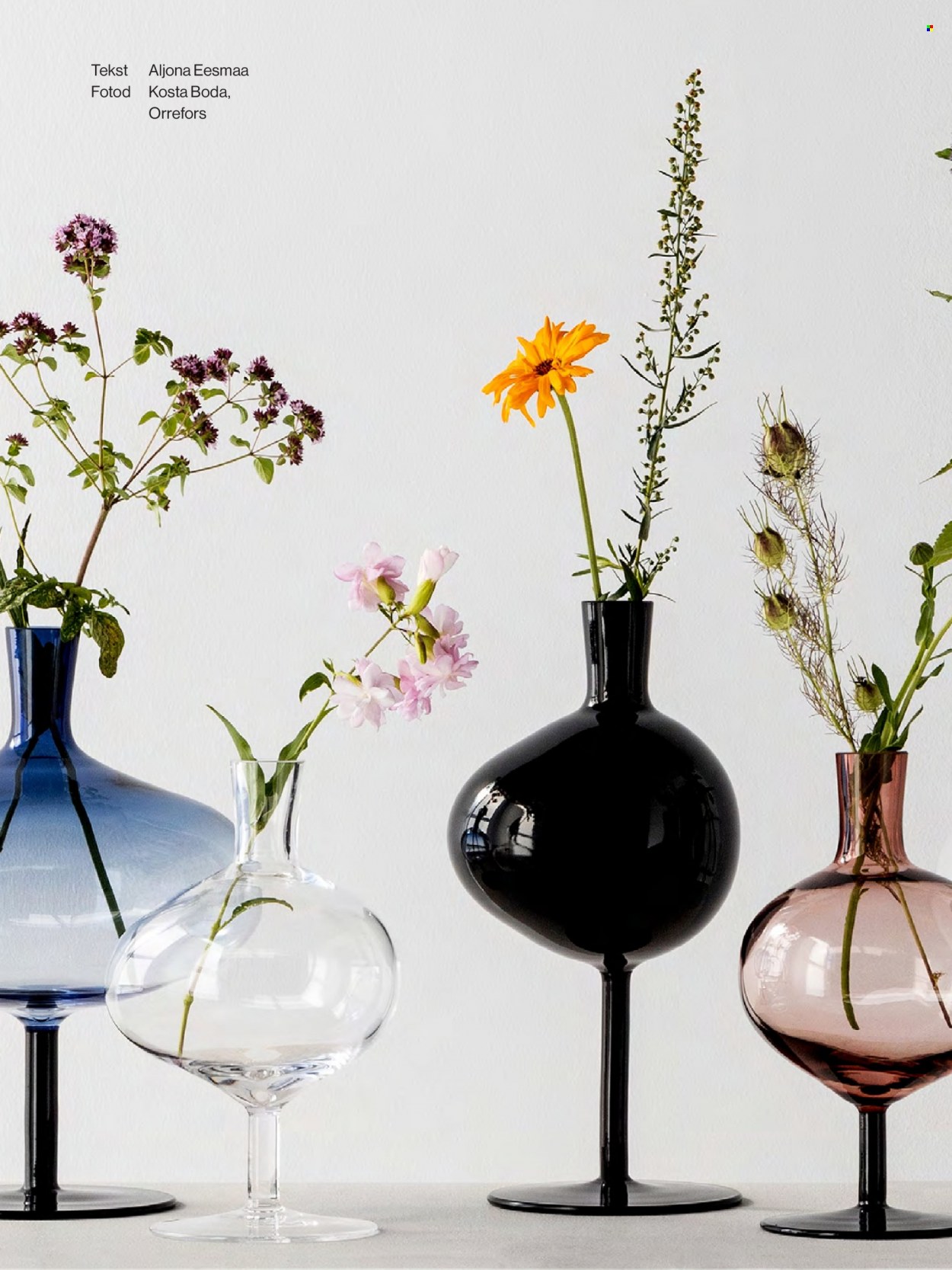 kaubamaja - Kaubamaja kliendileht - page: 125