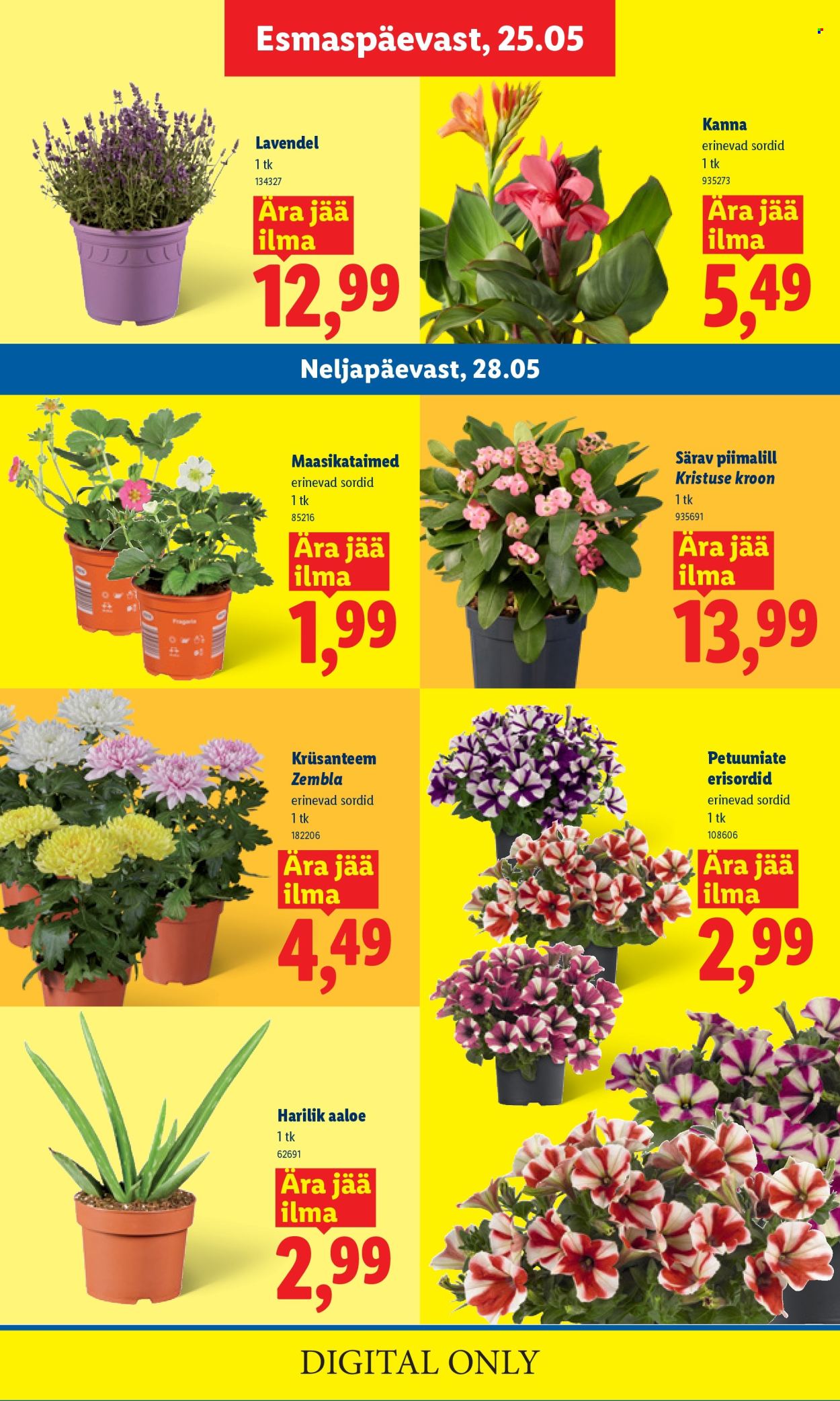 lidl - Lidl kliendileht - Kliendileht (25.05 - 31.05.2026) - page: 9