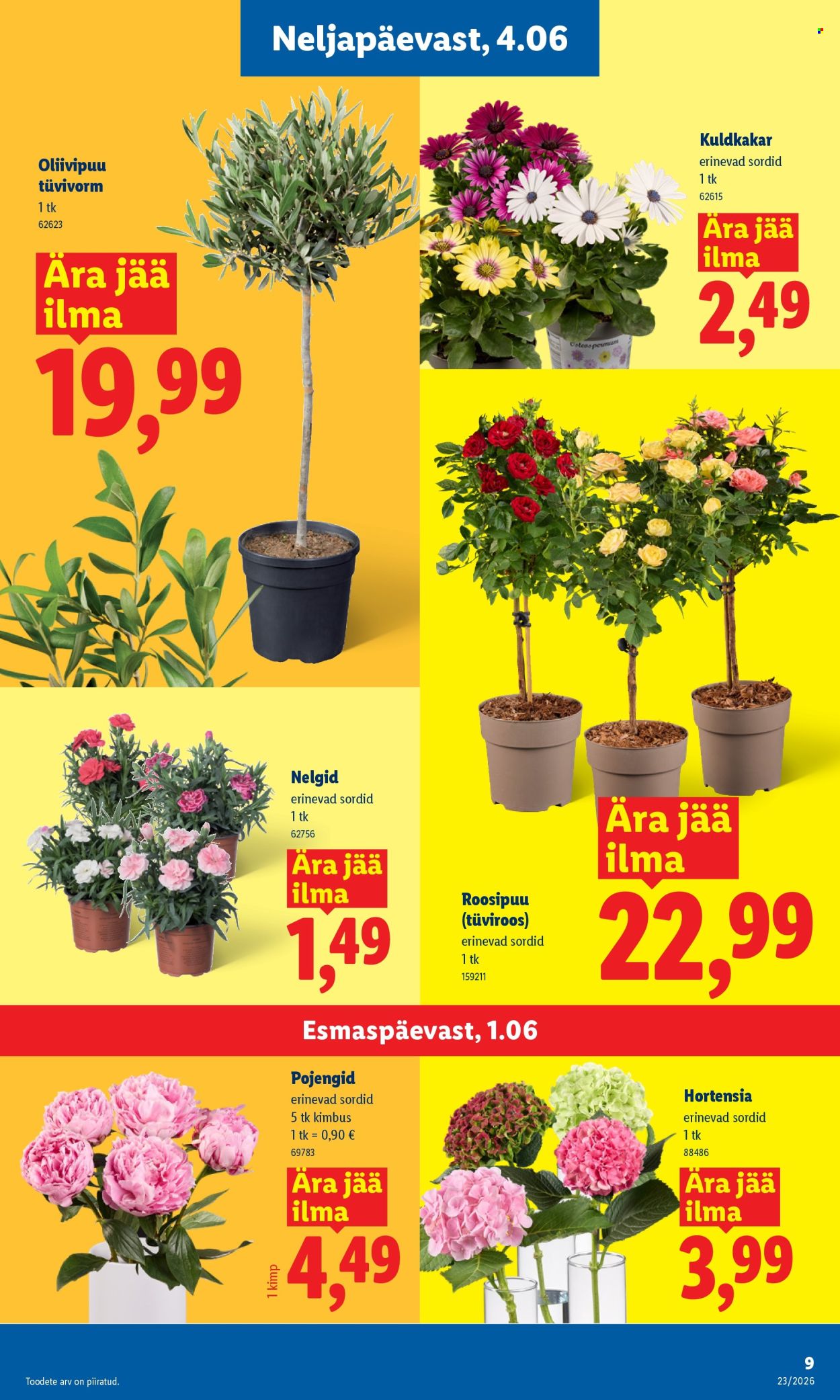lidl - Lidl kliendileht - Kliendileht (1.06 - 7.06.2026) - page: 9