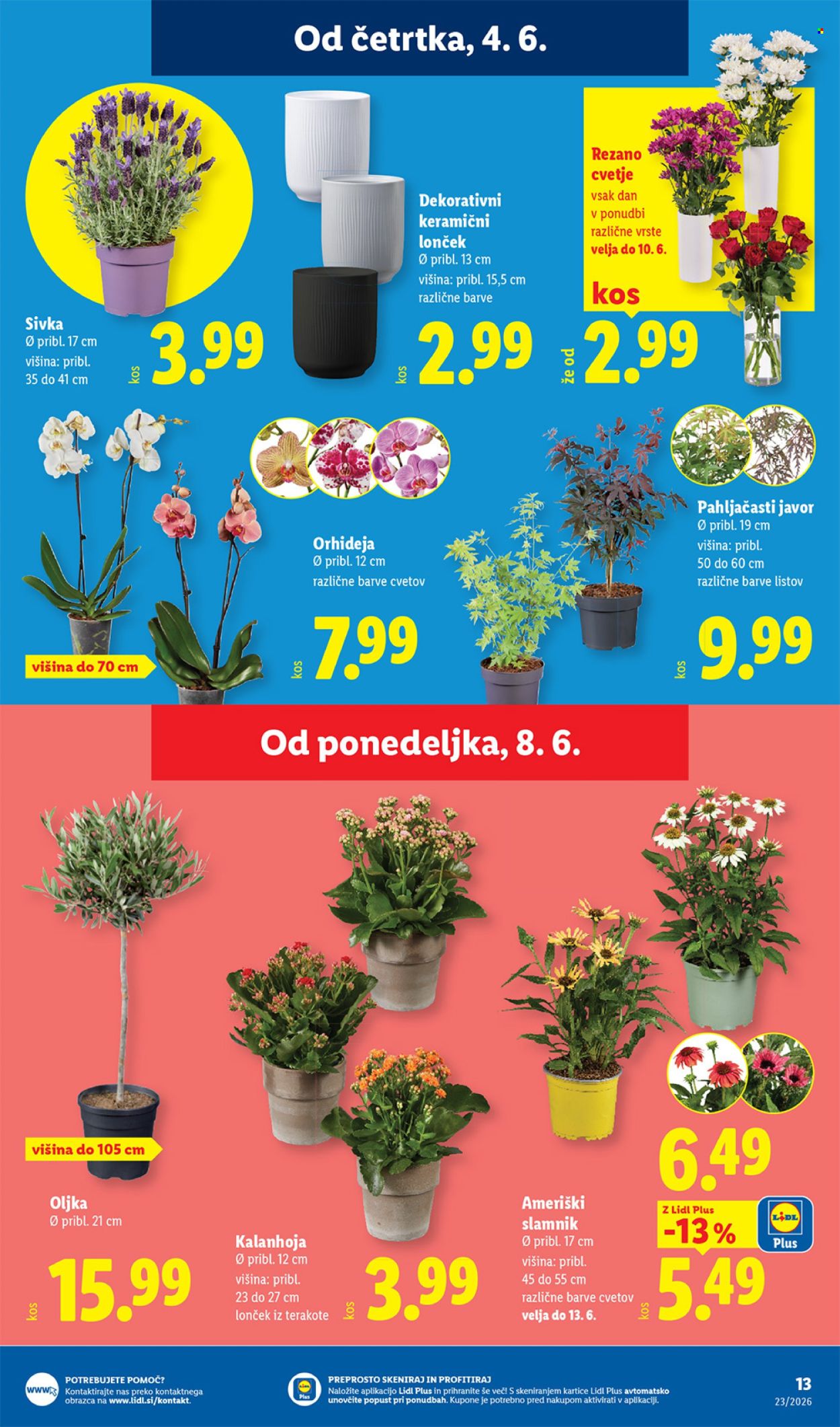 lidl - Lidl kliendileht (4.06 - 10.06.2026) - page: 31