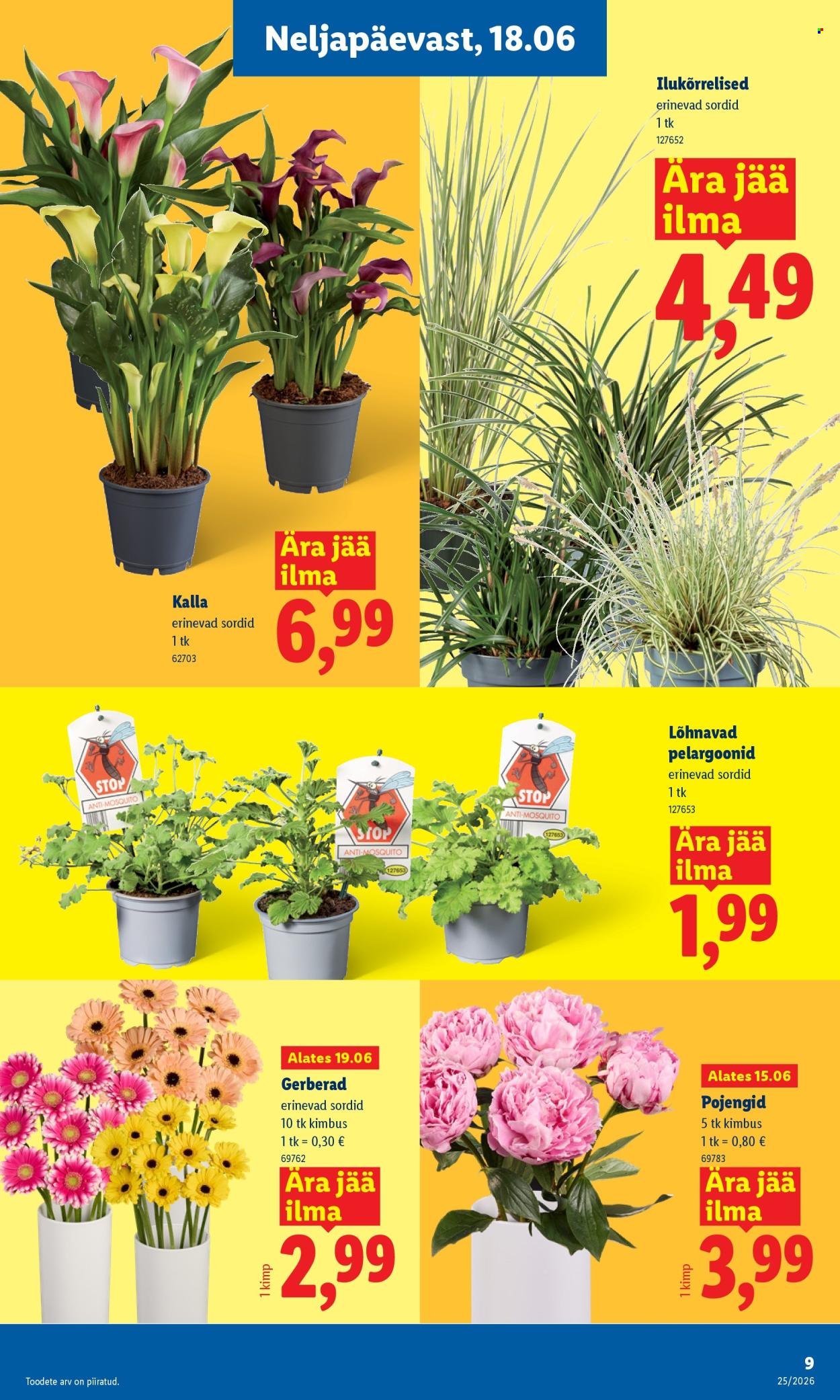 lidl - Lidl kliendileht (15.06 - 21.06.2026) - page: 9