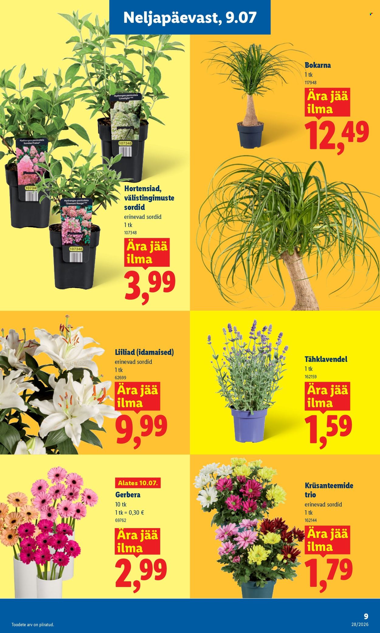 lidl - Lidl kliendileht (6.07 - 12.07.2026) - page: 9