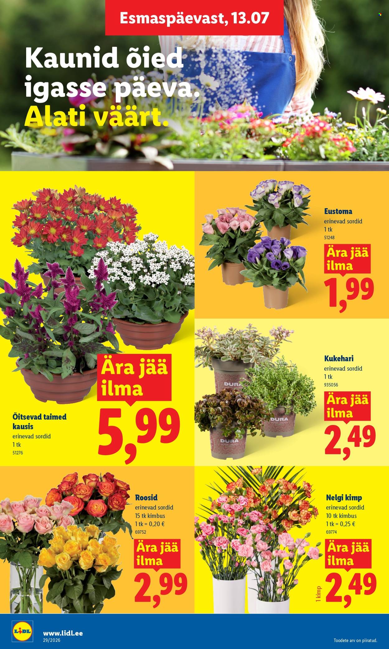 lidl - Lidl kliendileht (13.07 - 19.07.2026) - page: 8