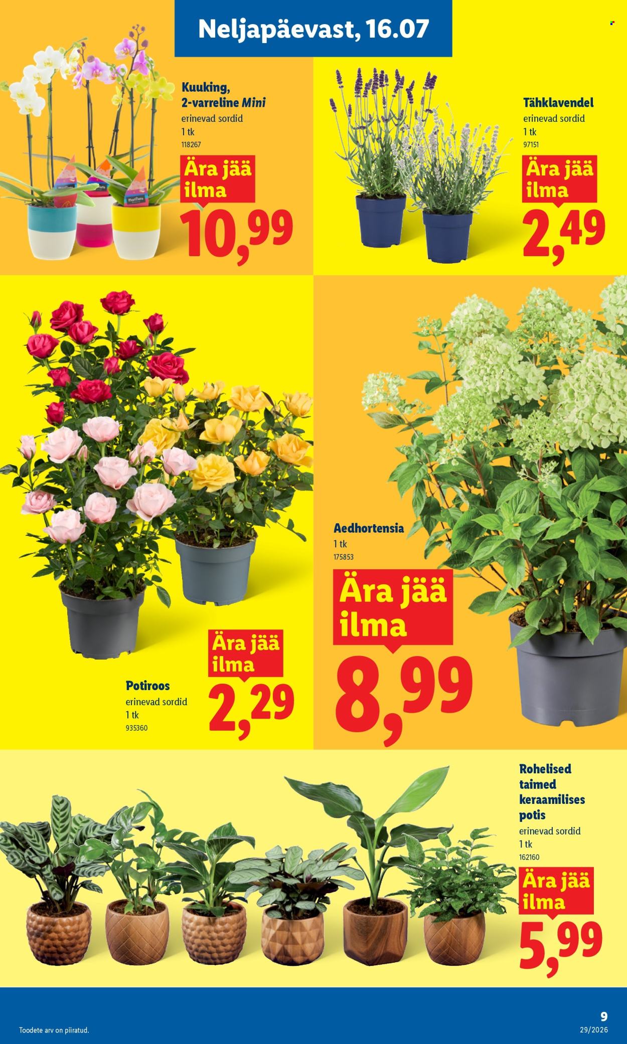lidl - Lidl kliendileht (13.07 - 19.07.2026) - page: 9