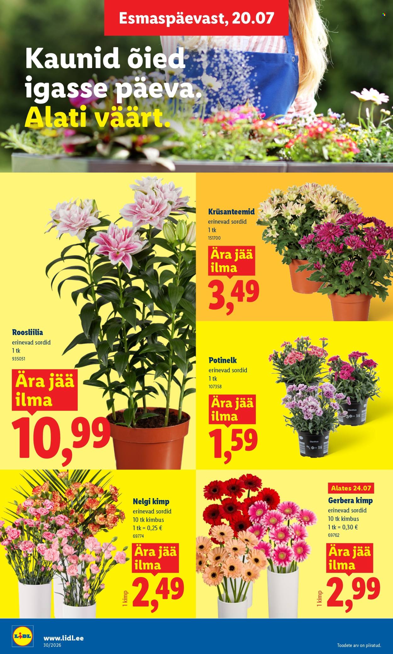 lidl - Lidl kliendileht (20.07 - 26.07.2026) - page: 8