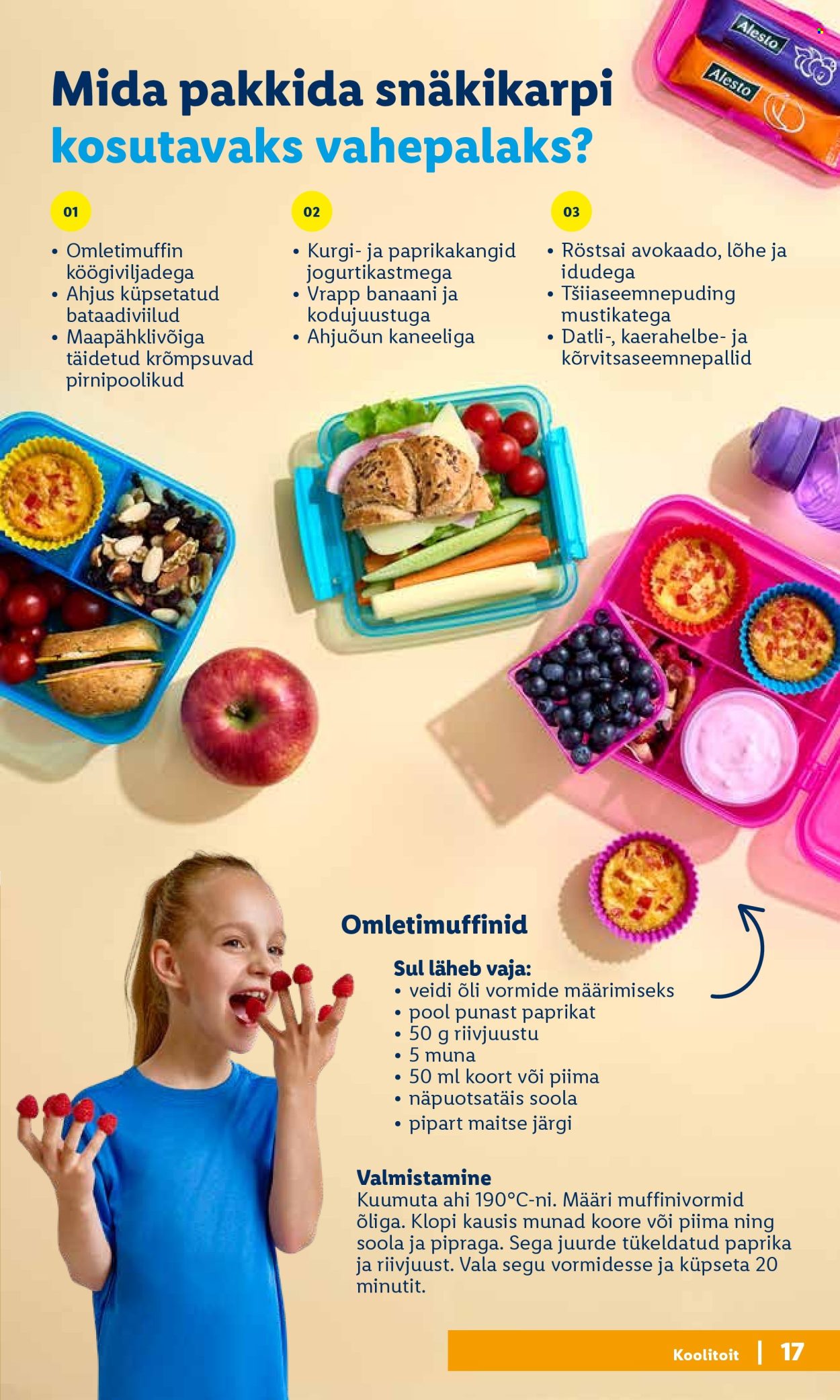 lidl - Lidl kliendileht - page: 17