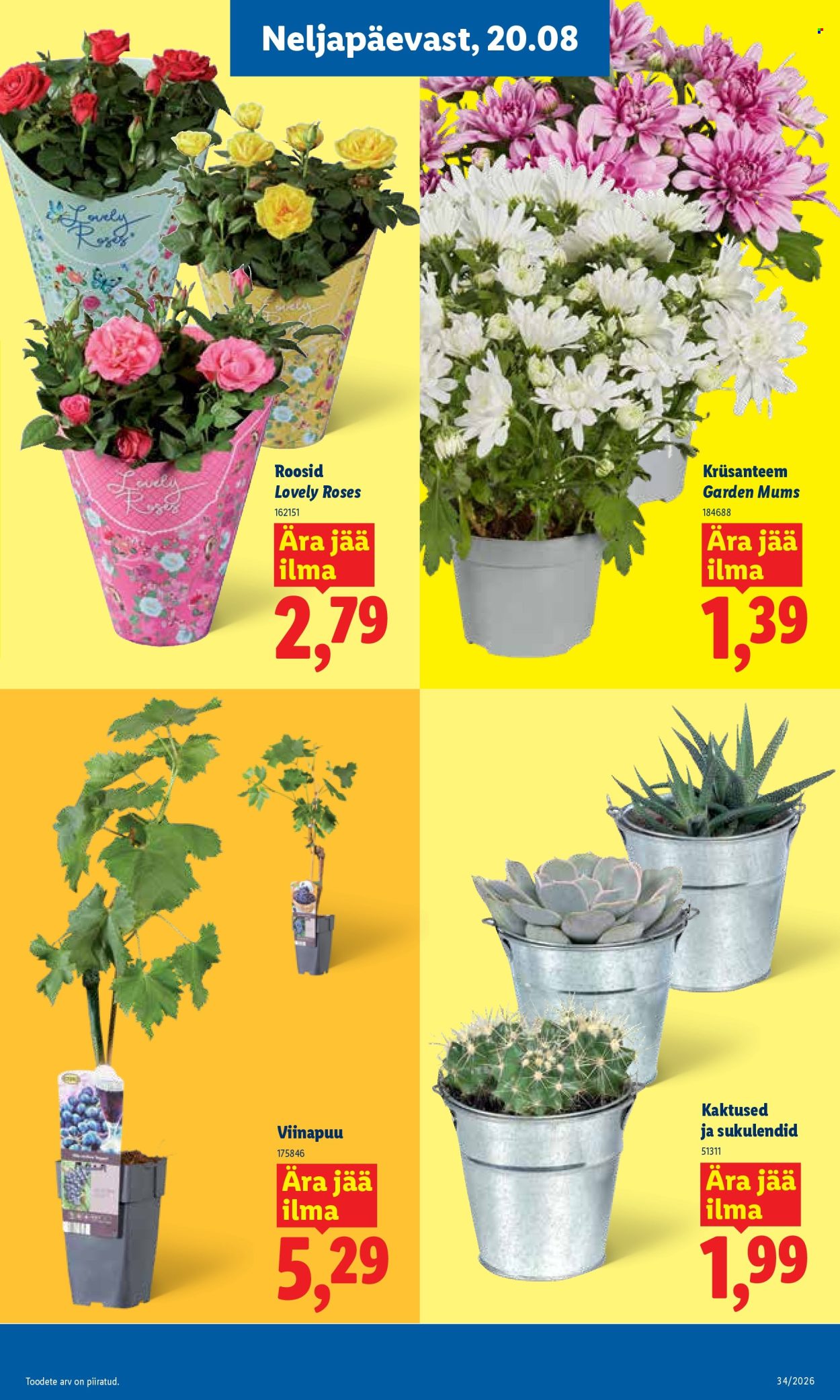 lidl - Lidl kliendileht (17.08 - 23.08.2026) - page: 7