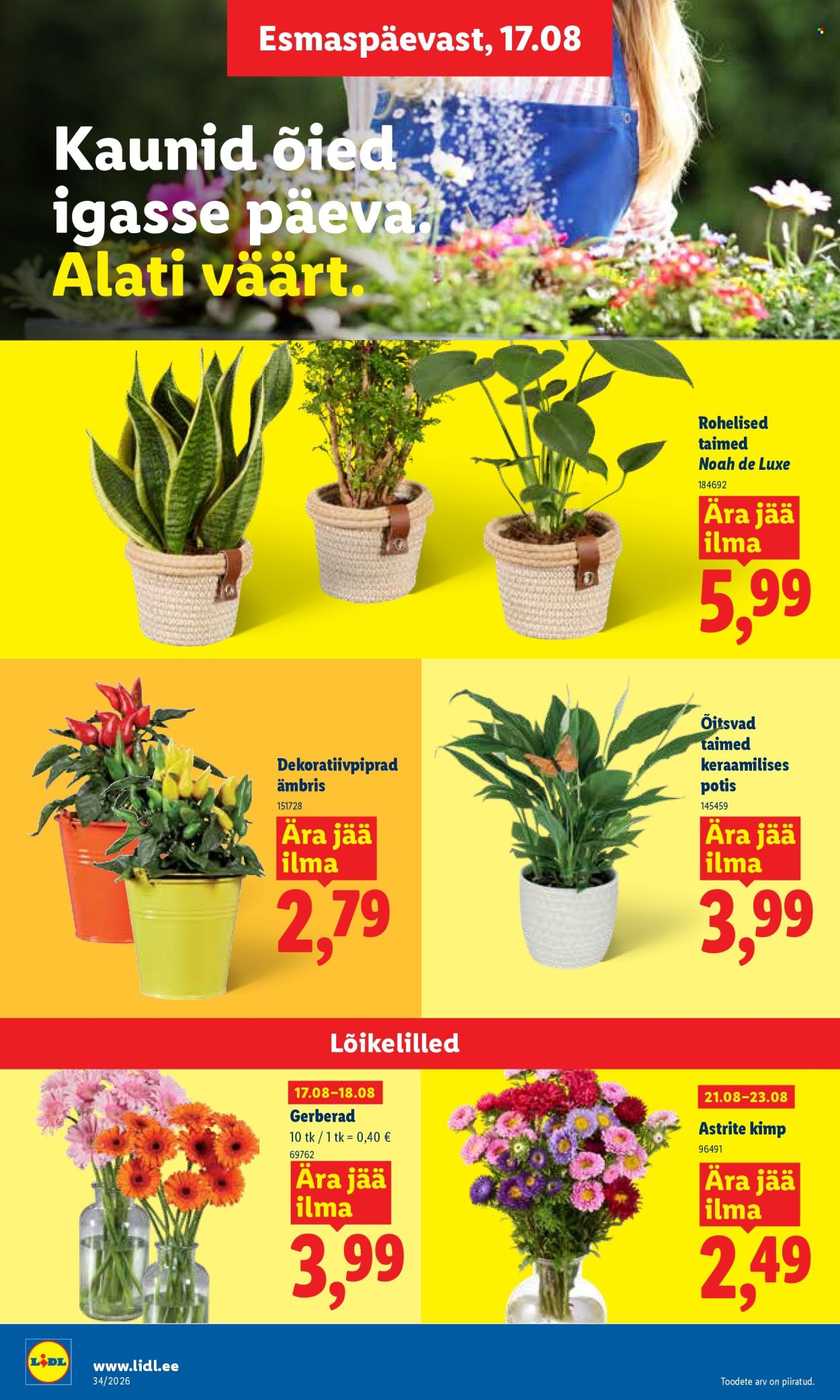 lidl - Lidl kliendileht (17.08 - 23.08.2026) - page: 6