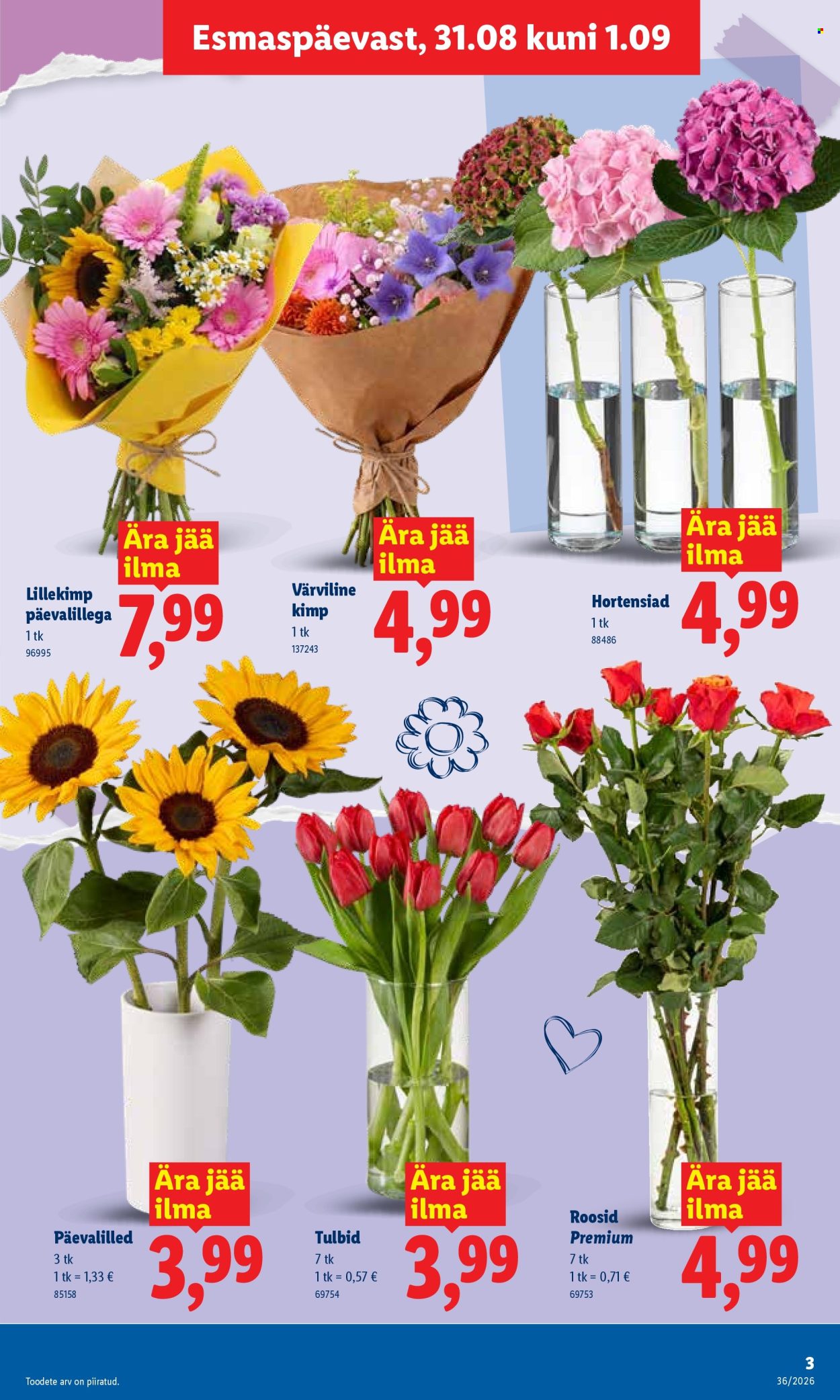 lidl - Lidl kliendileht (31.08 - 6.09.2026) - page: 3