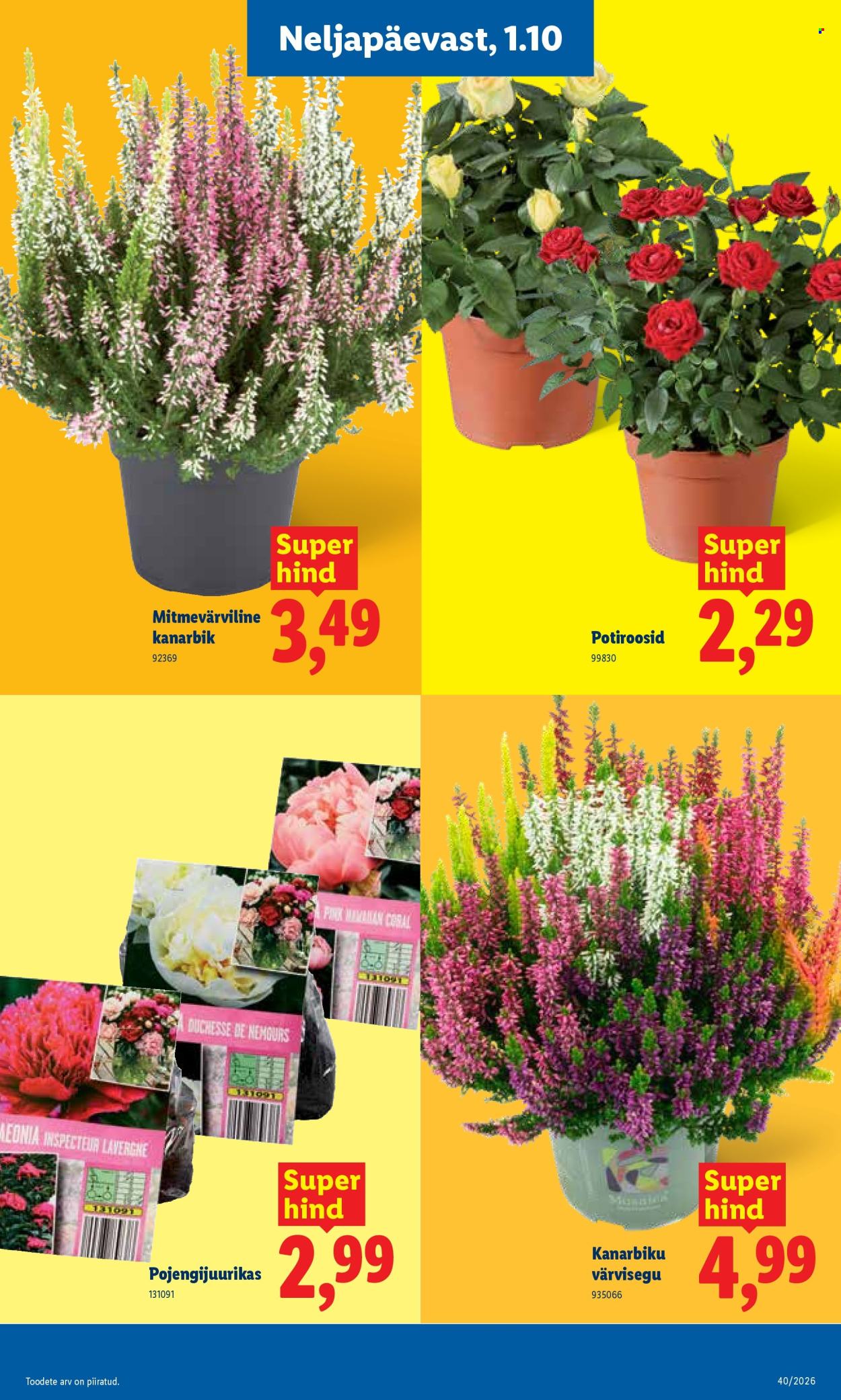 lidl - Lidl kliendileht (28.09 - 4.10.2026) - page: 23
