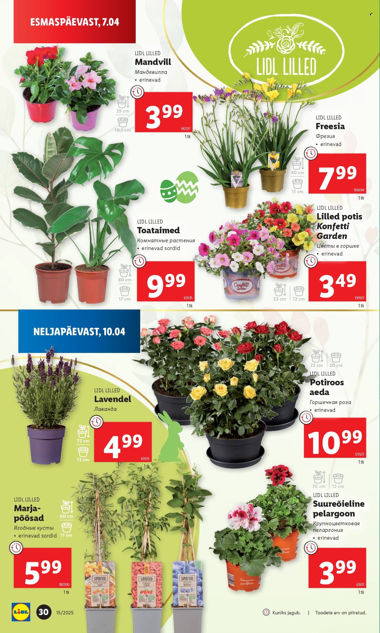 lidl - Lidl kliendileht - Nädalalõpu pakkumised (10.04 - 13.04.2025) - page: 30 lidl - Lidl kliendileht - Nädalalõpu pakkumised (10.04 - 13.04.2025) - page: 30